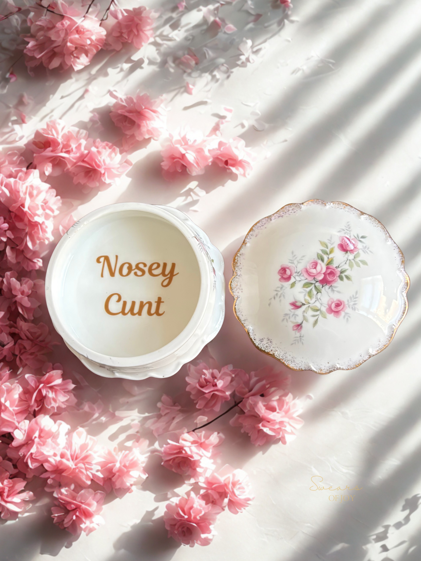 Nosey Cunt - Vintage Trinket Pot