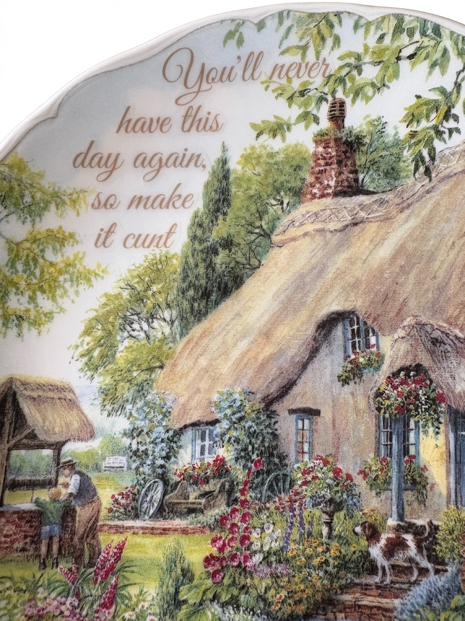 You'll never have this day again so make it cunt - Vintage Picture Plate