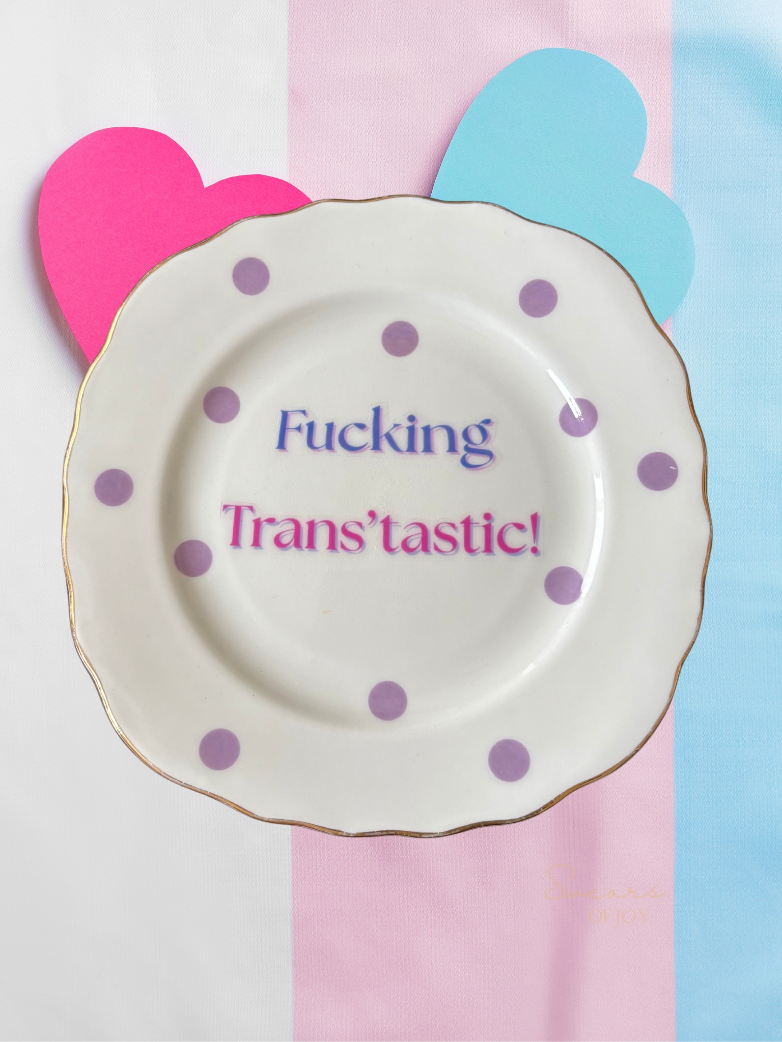 Fucking Trans'Tastic - Vintage China Plate