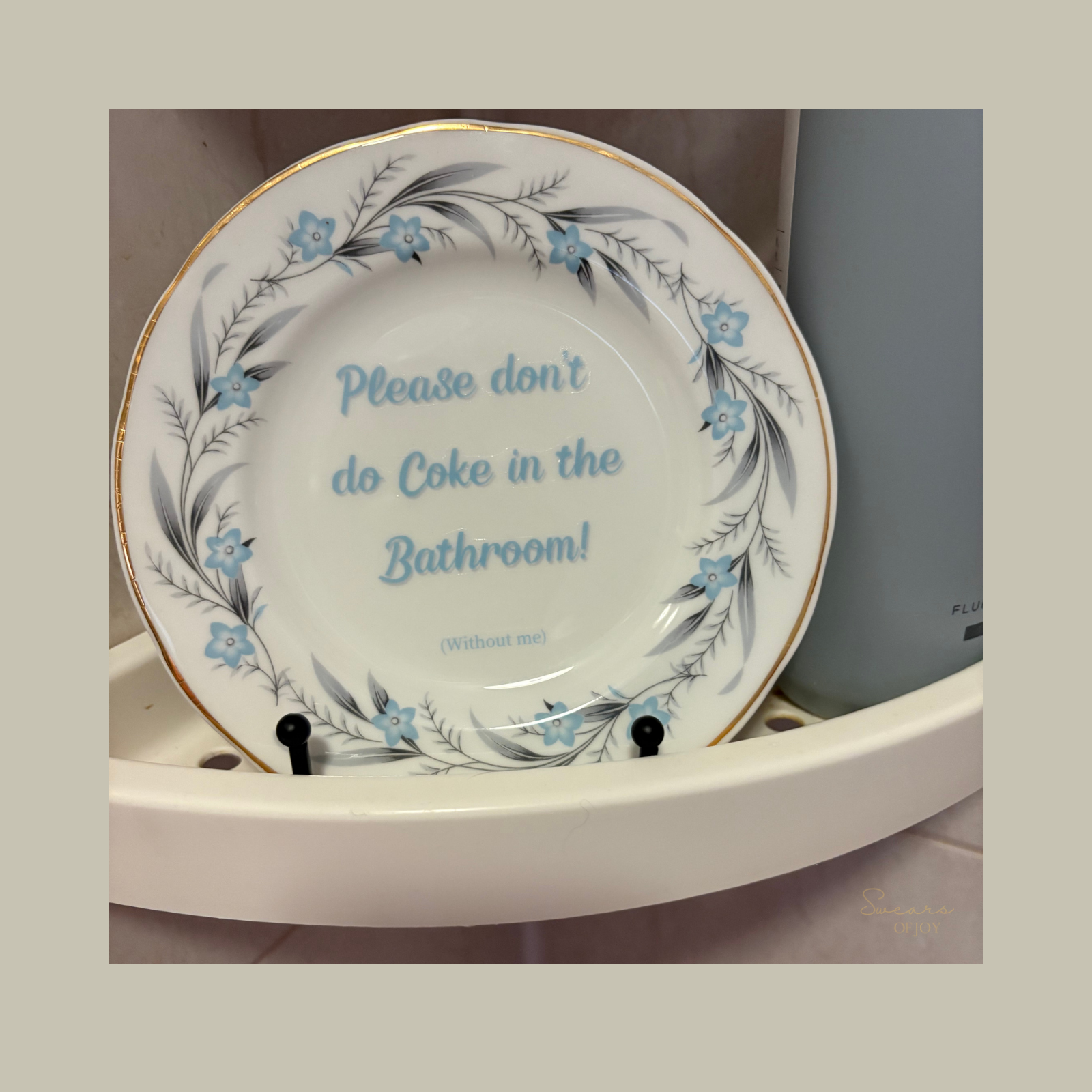 Please Don’t Do Coke in the Bathroom! Vintage Bathroom Humour Plate