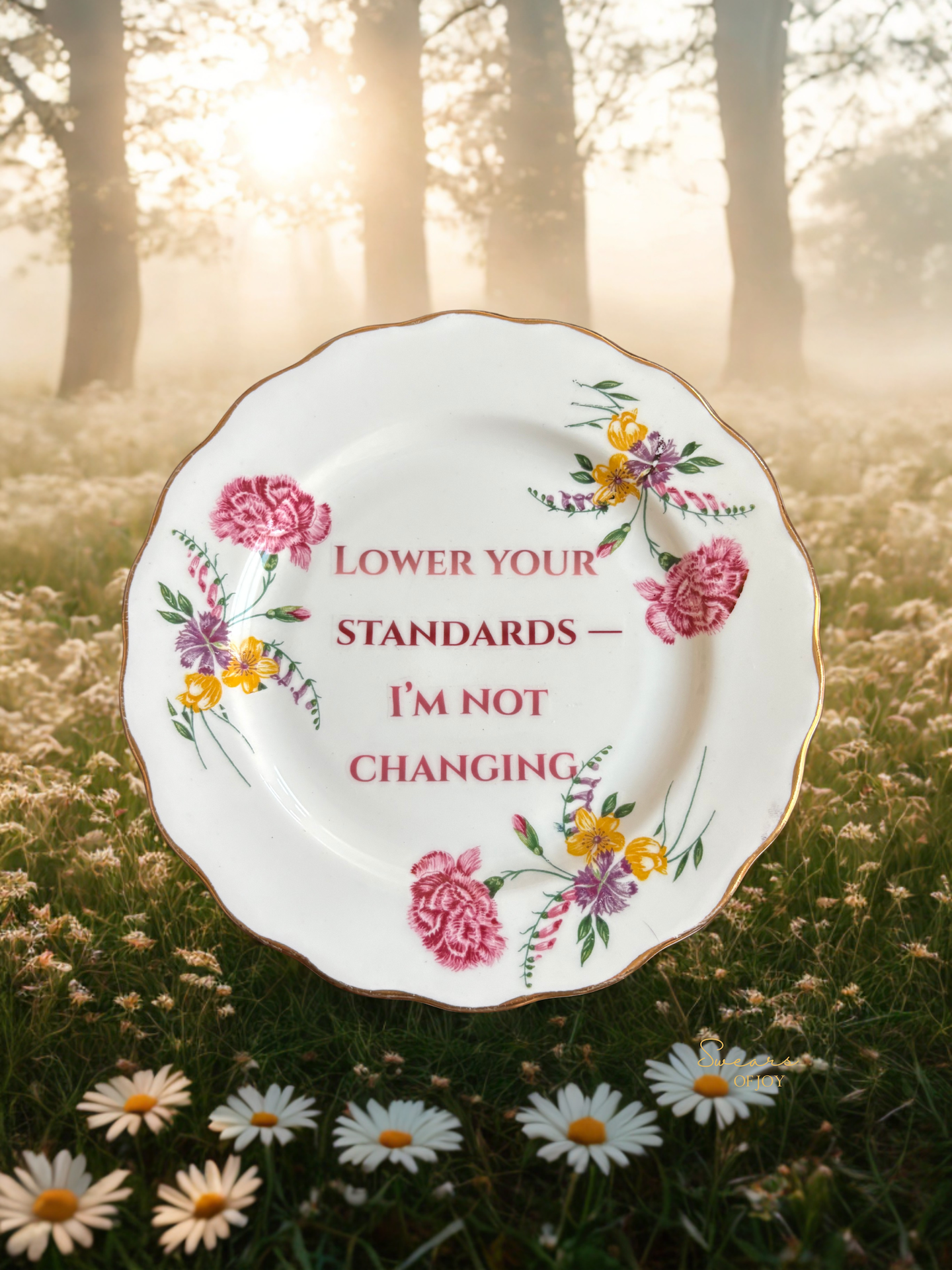 Lower Your Standards — I’m Not Changing – Vintage China Plate
