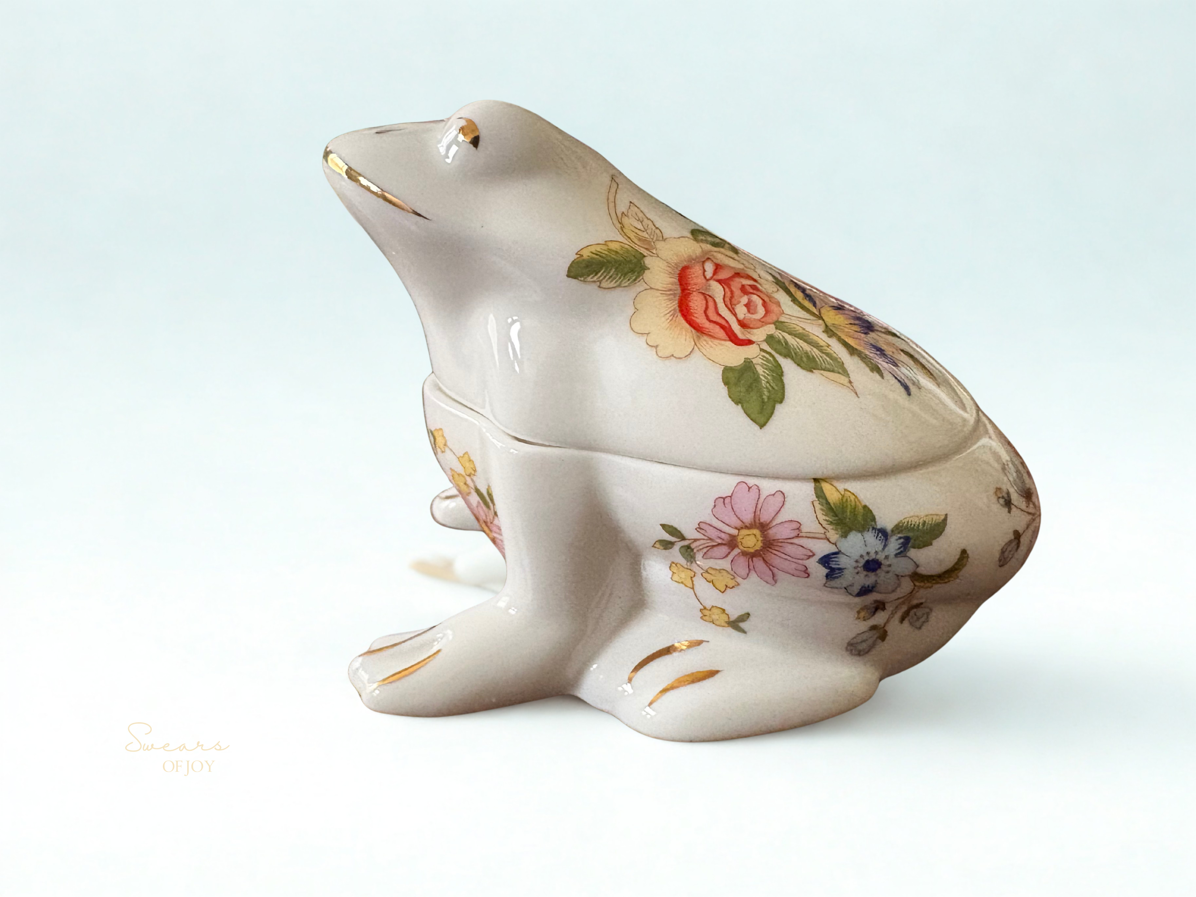 Nosey Cunt - Vintage Trinket Frog