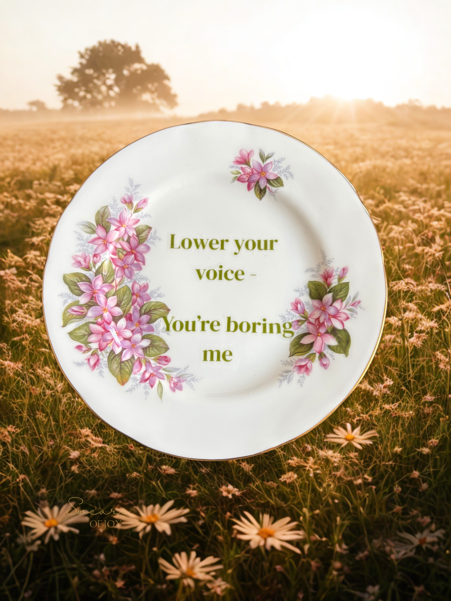 Lower Your Voice — You’re Boring Me – Sass Plate
