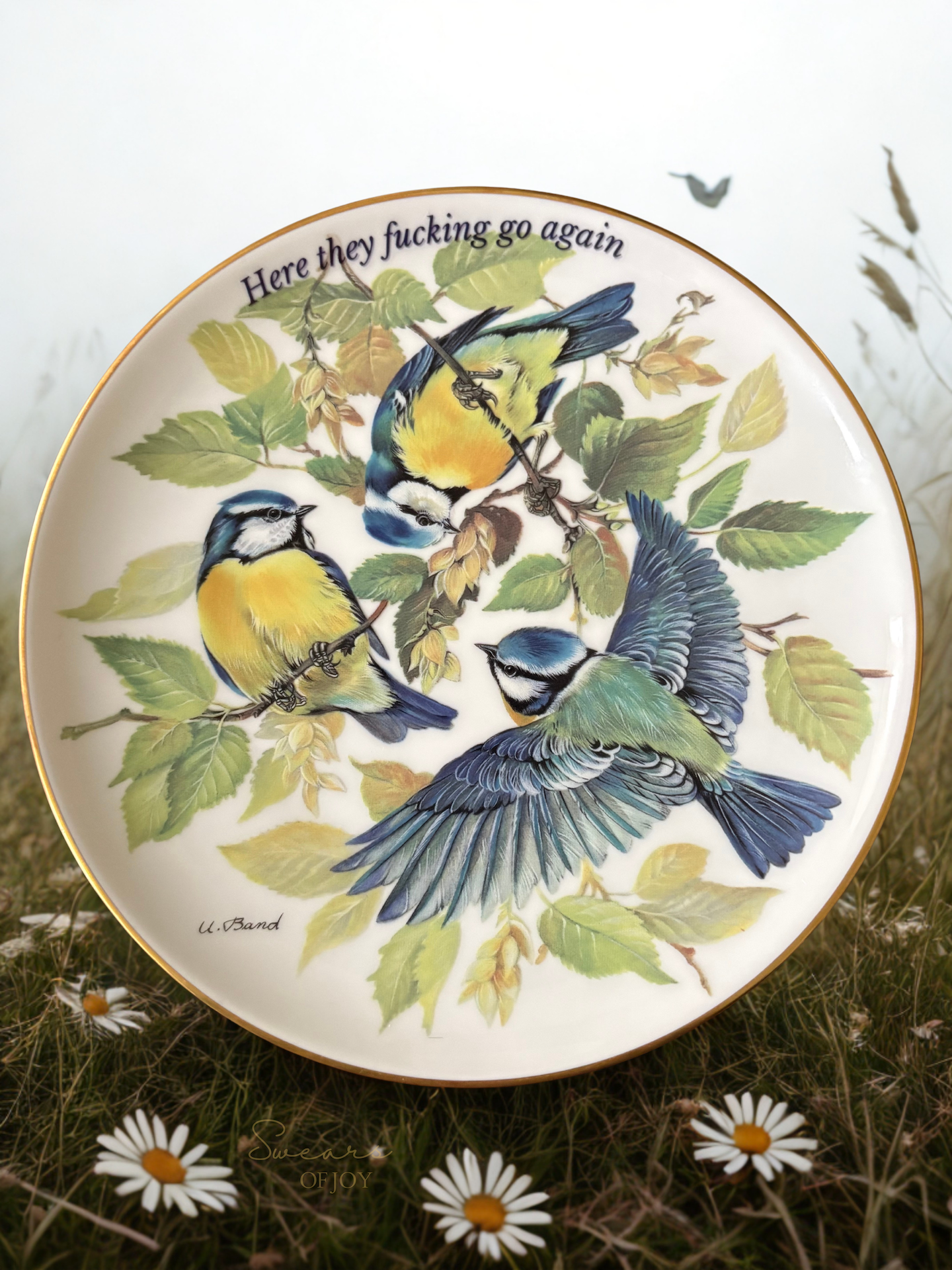 Here they fucking go again - Vintage Picture Plate