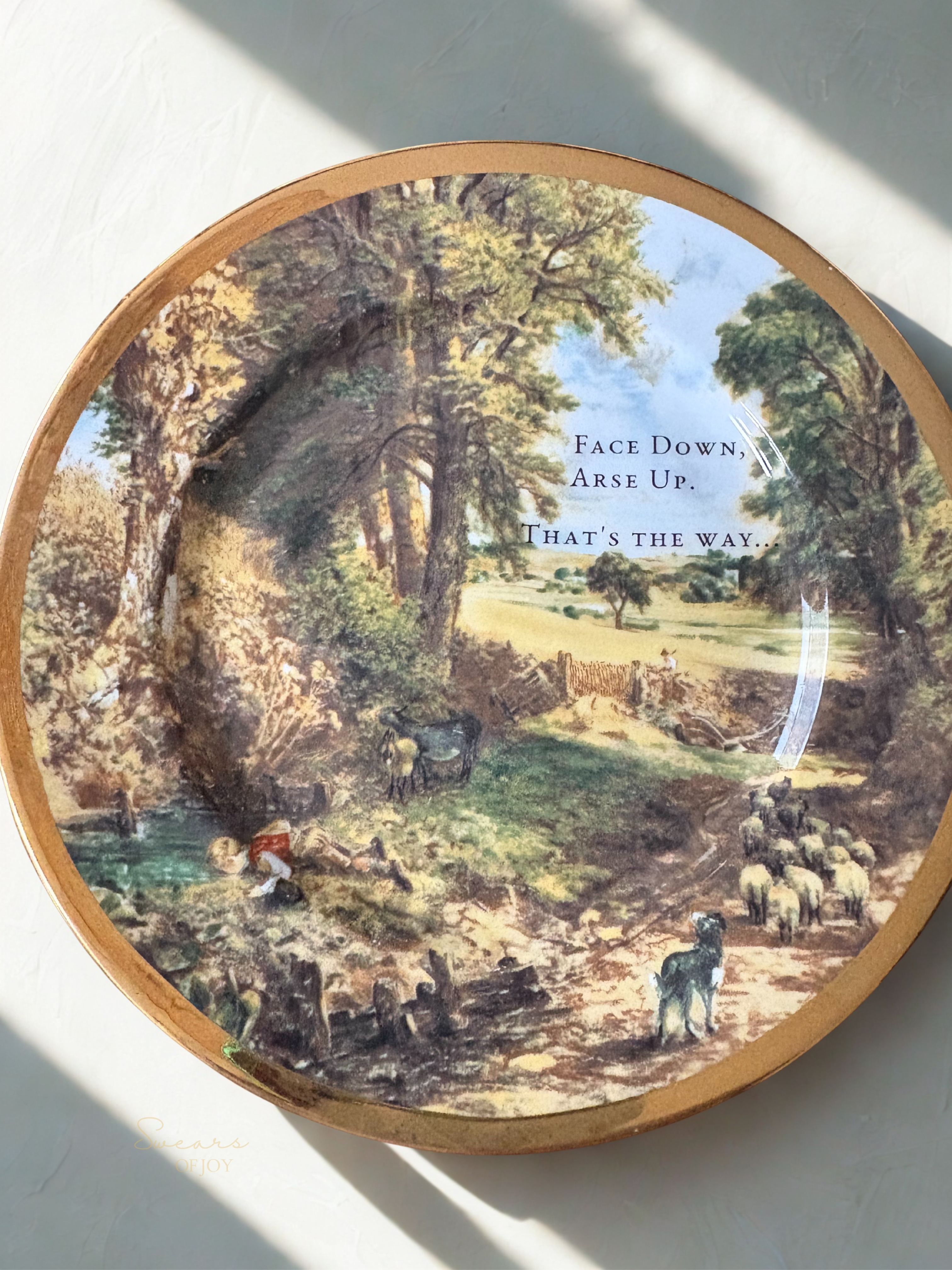 Face down, Arse up - Vintage Picture Plate