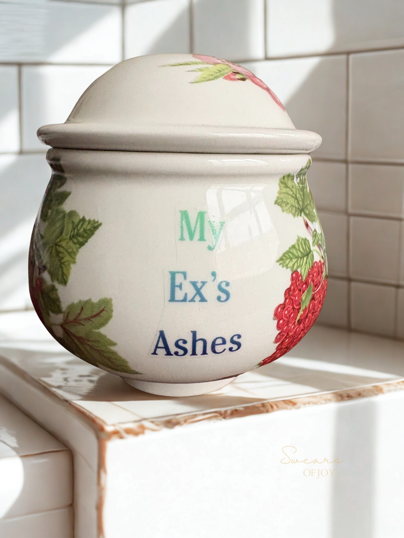 My Ex’s Ashes – Vintage Lidded Pot 