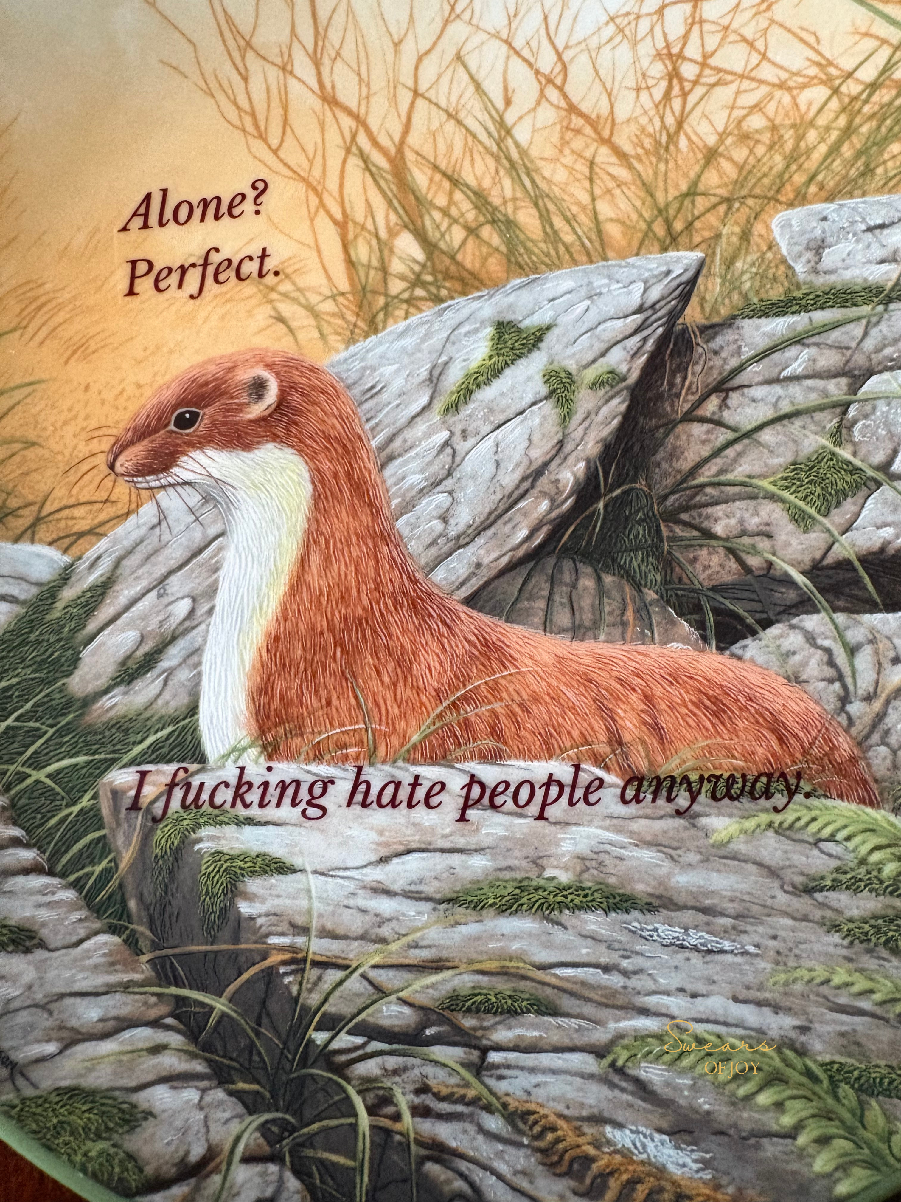 Alone? Perfect - Vintage Picture Plate