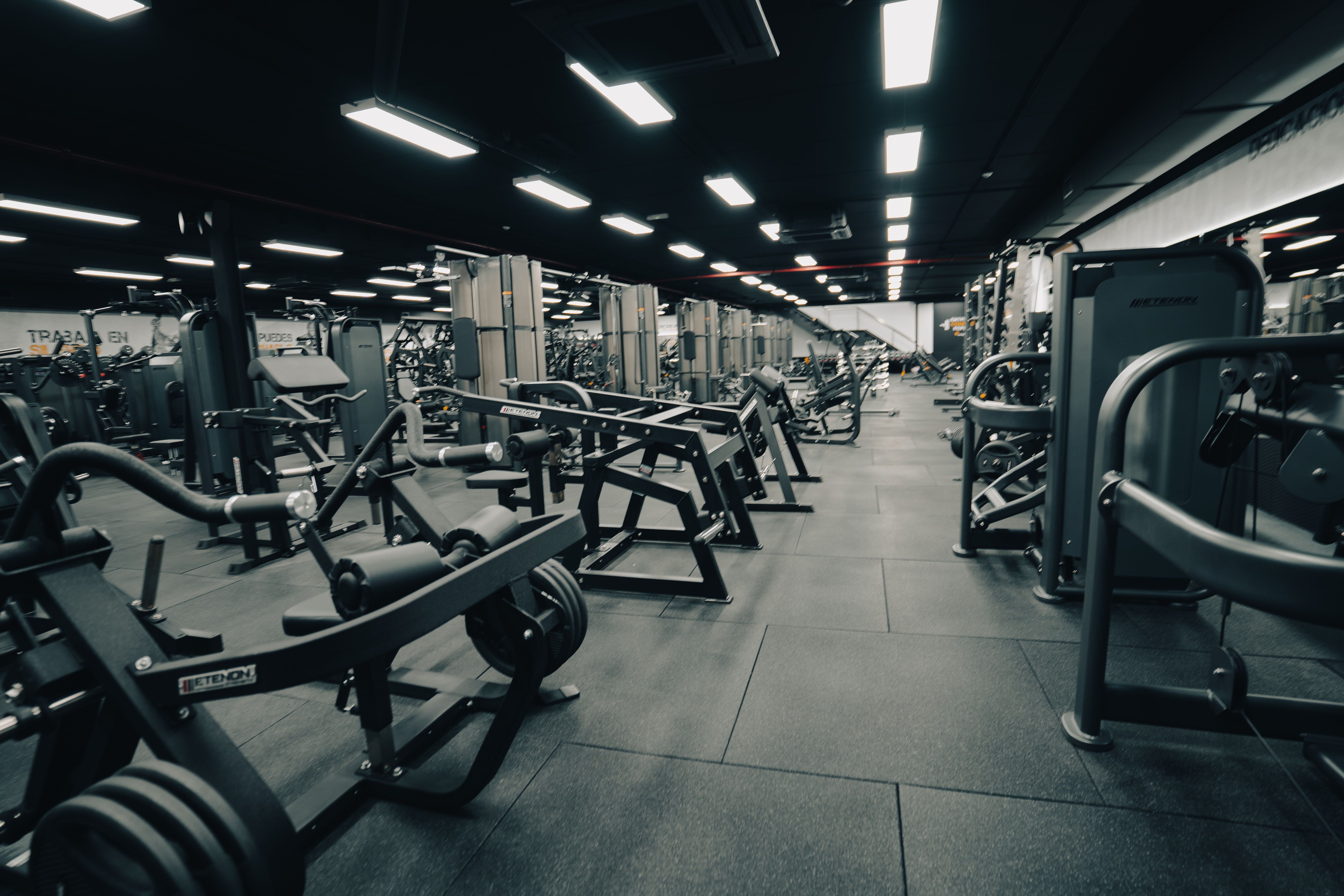 Plan de Entrenamiento Gym (principiantes)