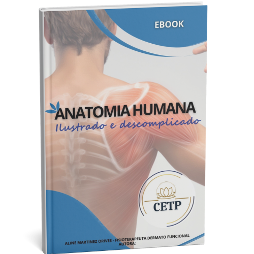 Ebook Anatomia Humana