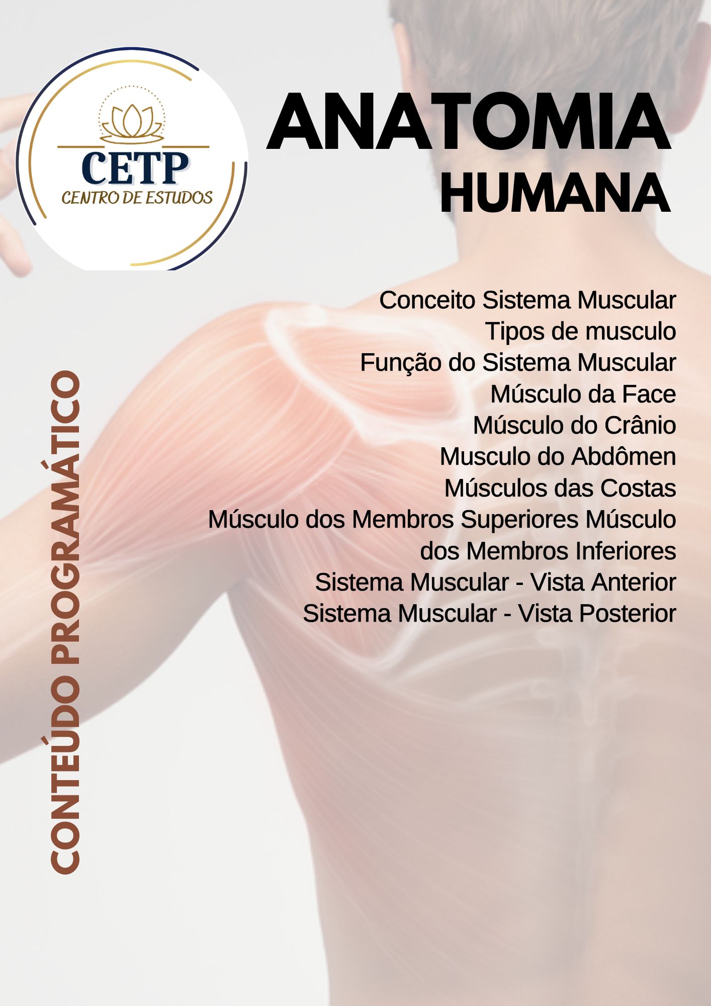 Ebook Anatomia Humana