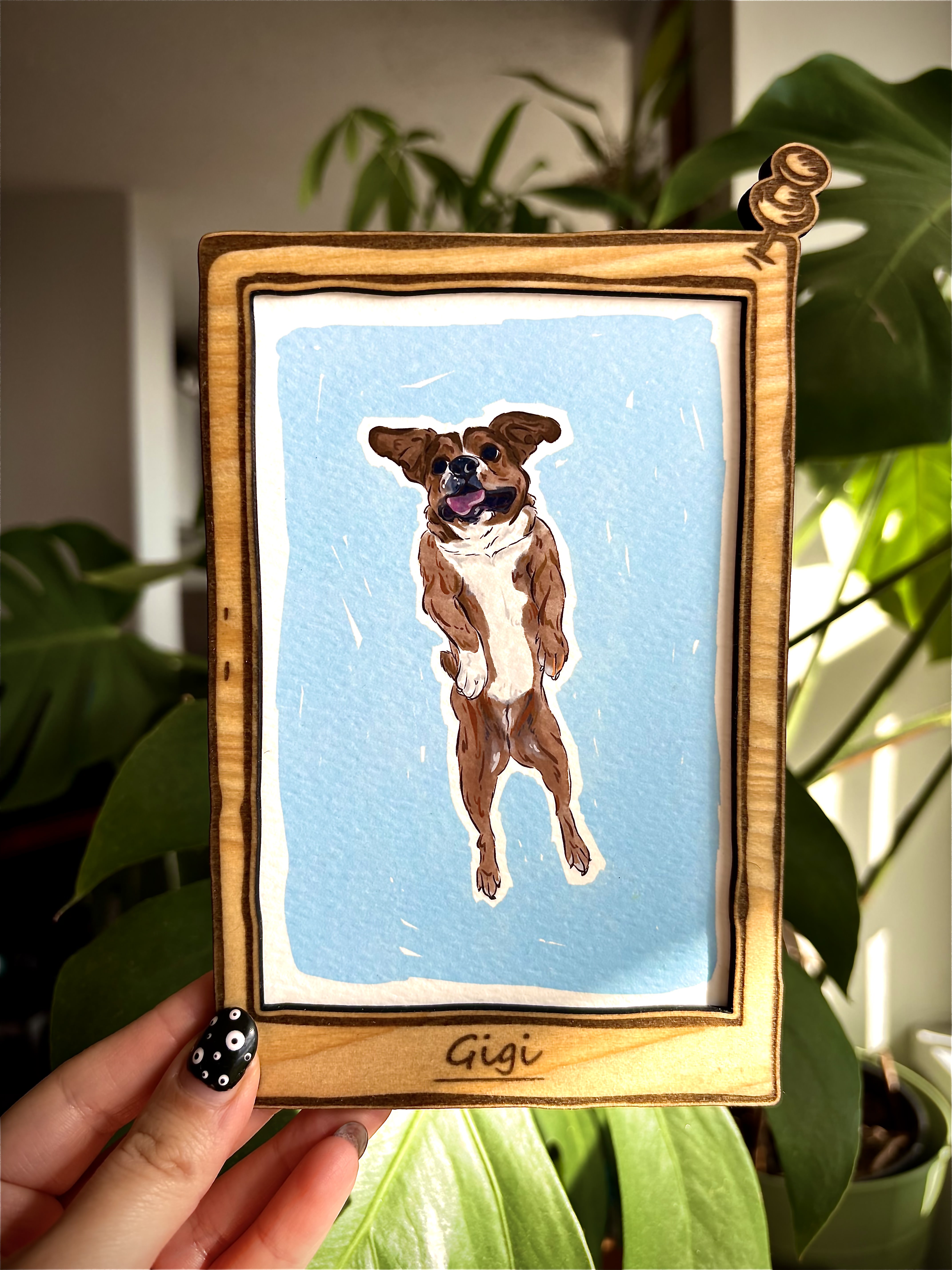 Pet Portrait