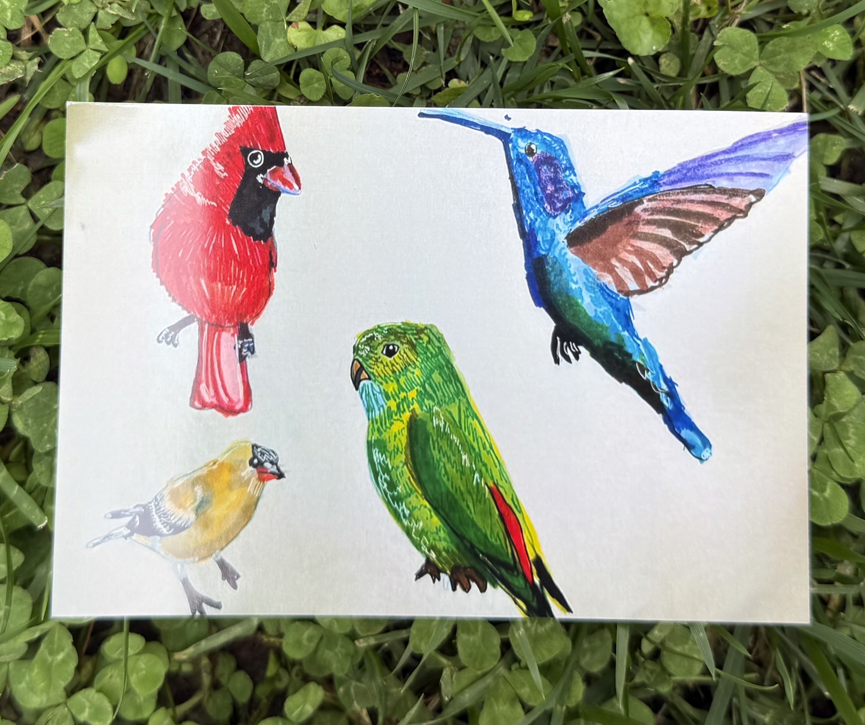 Mini Prints (Postcard Size)