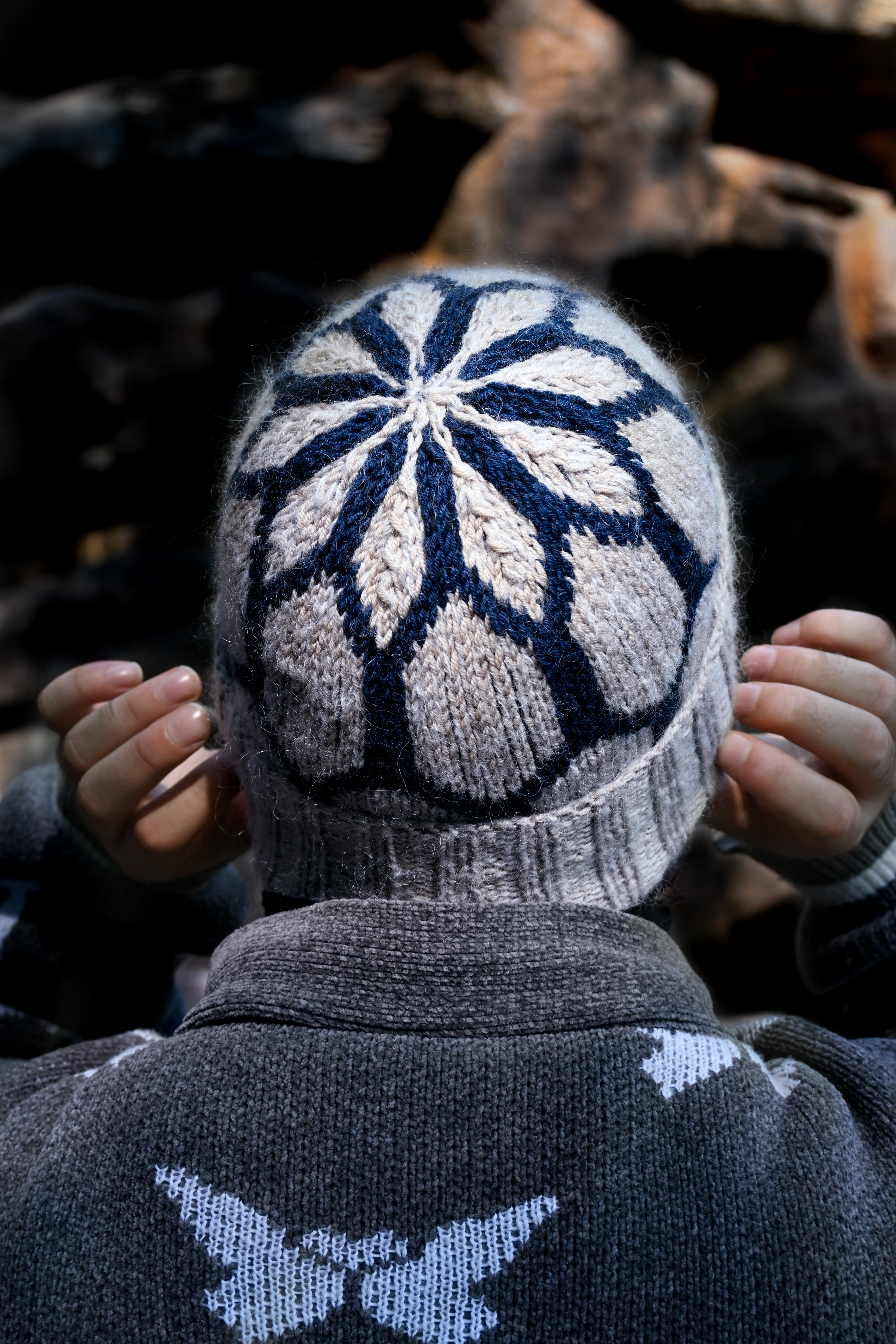 Zevy hat
