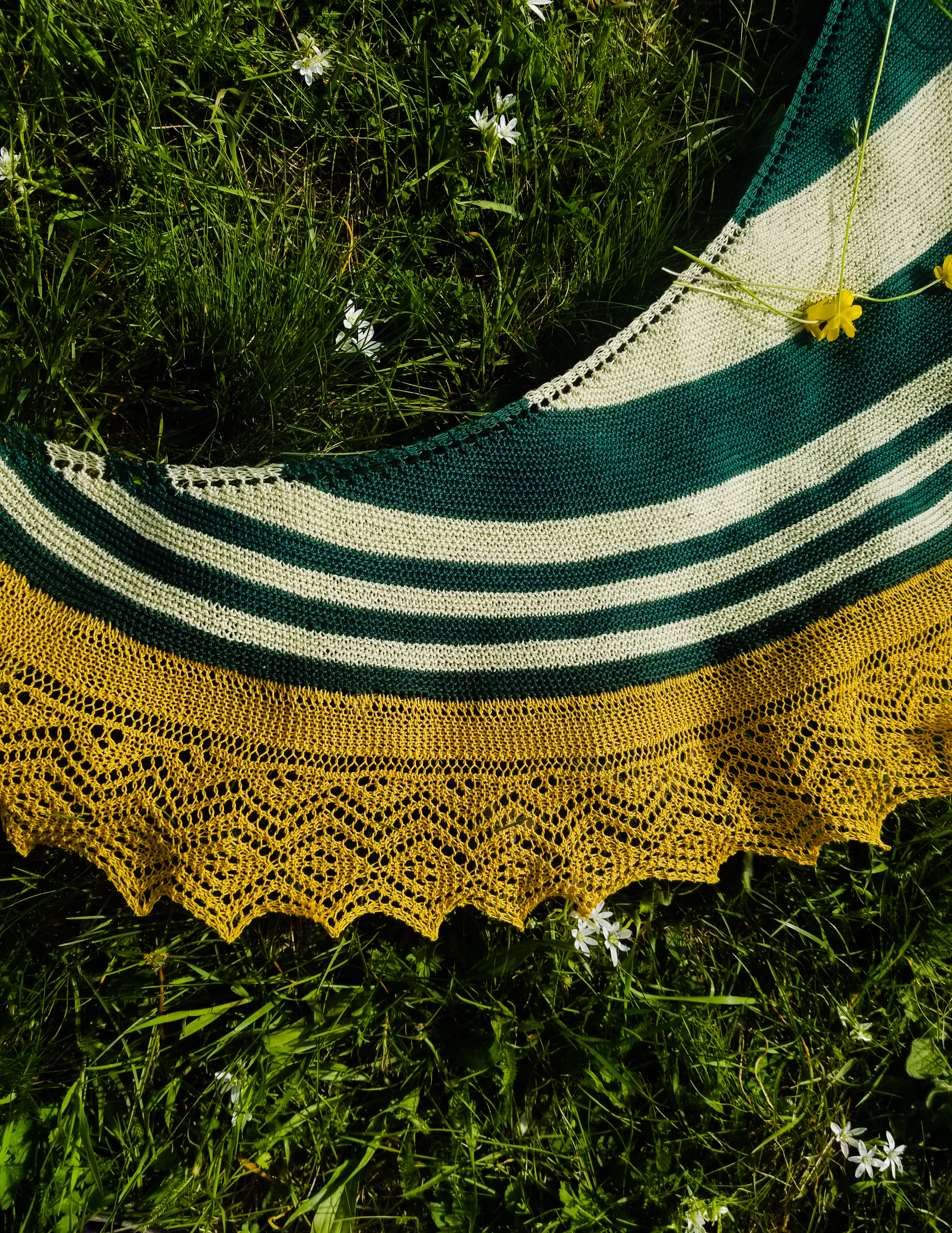 Summer field