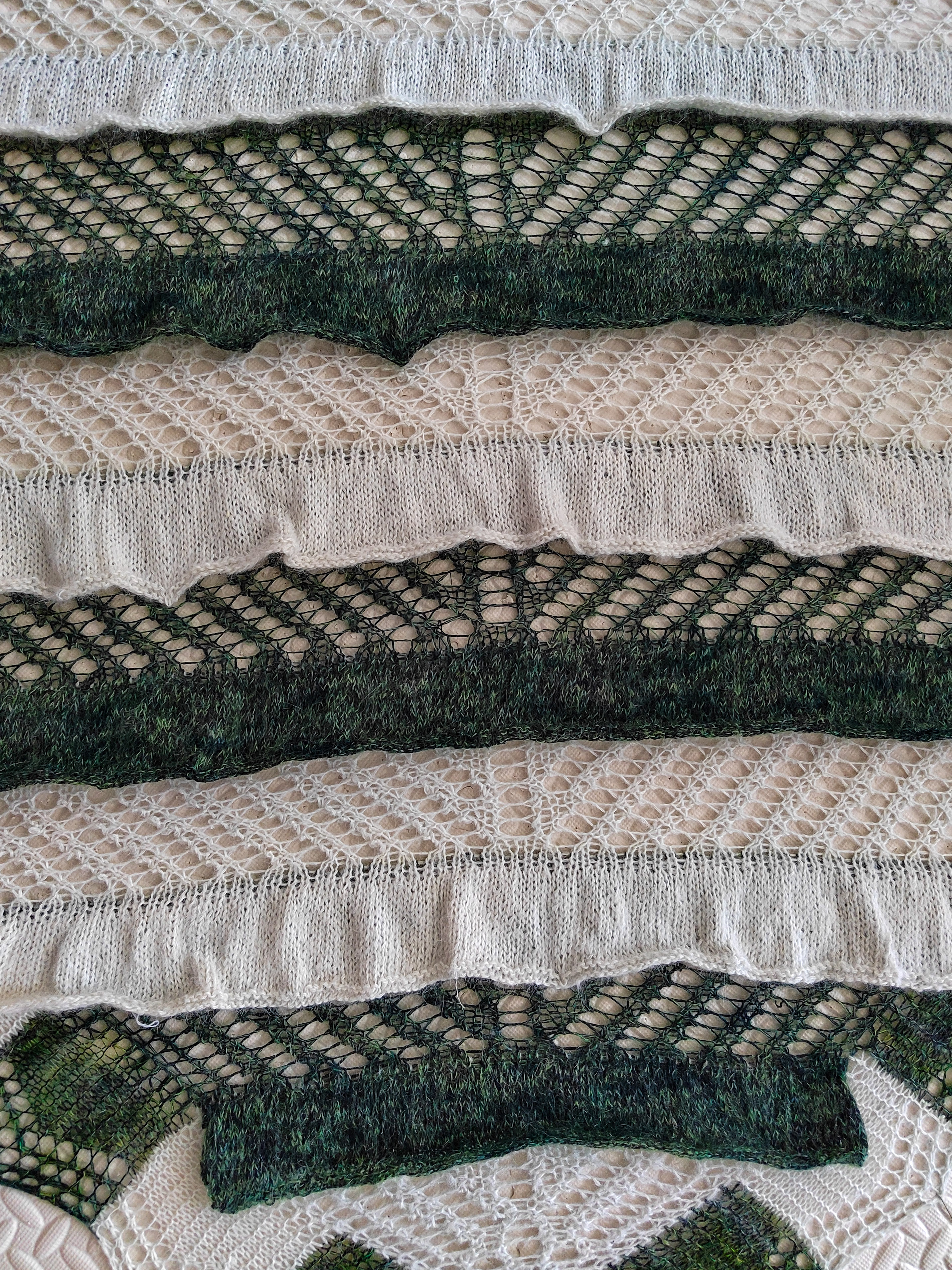 Calathea shawl