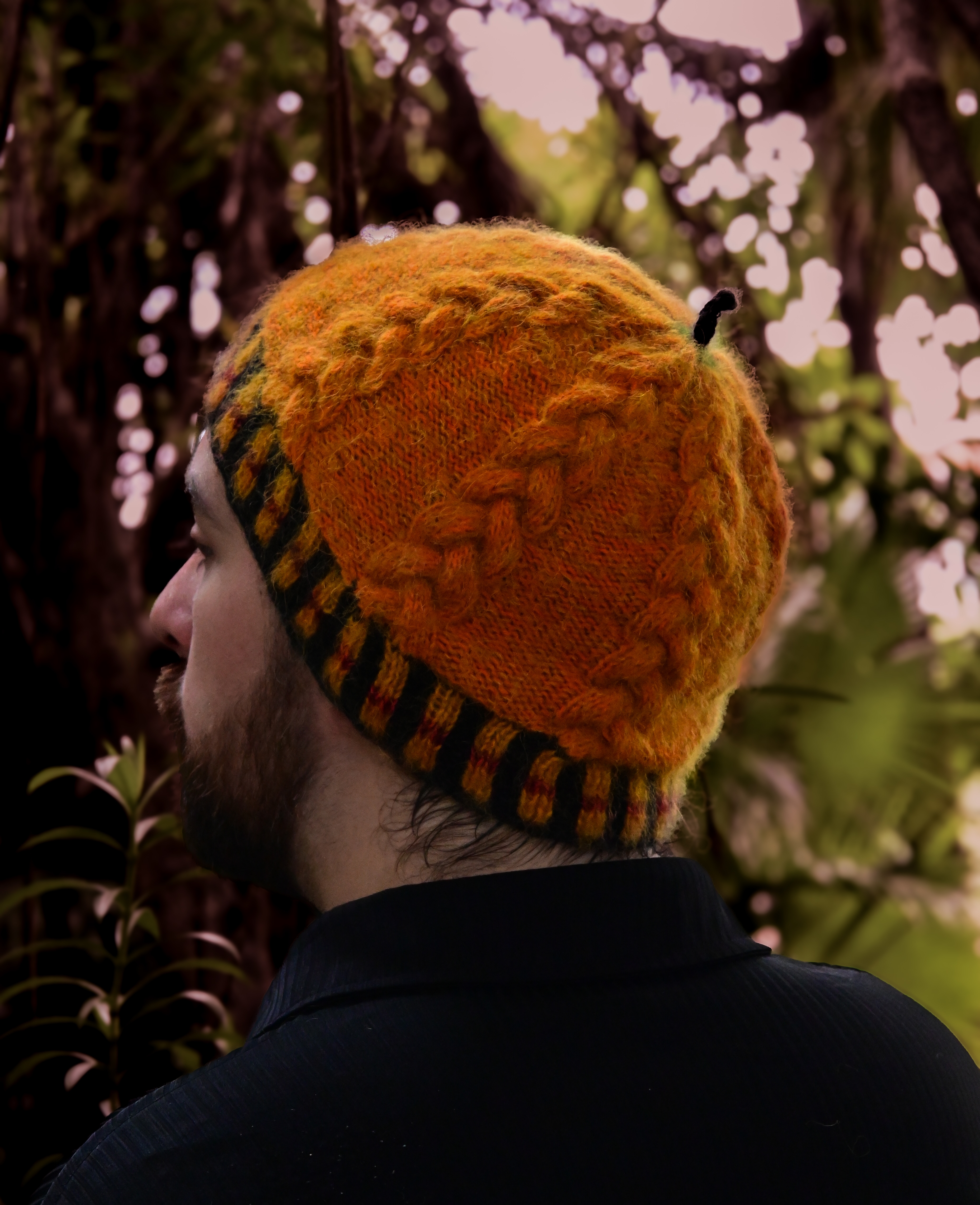 Hocus Pocus hat