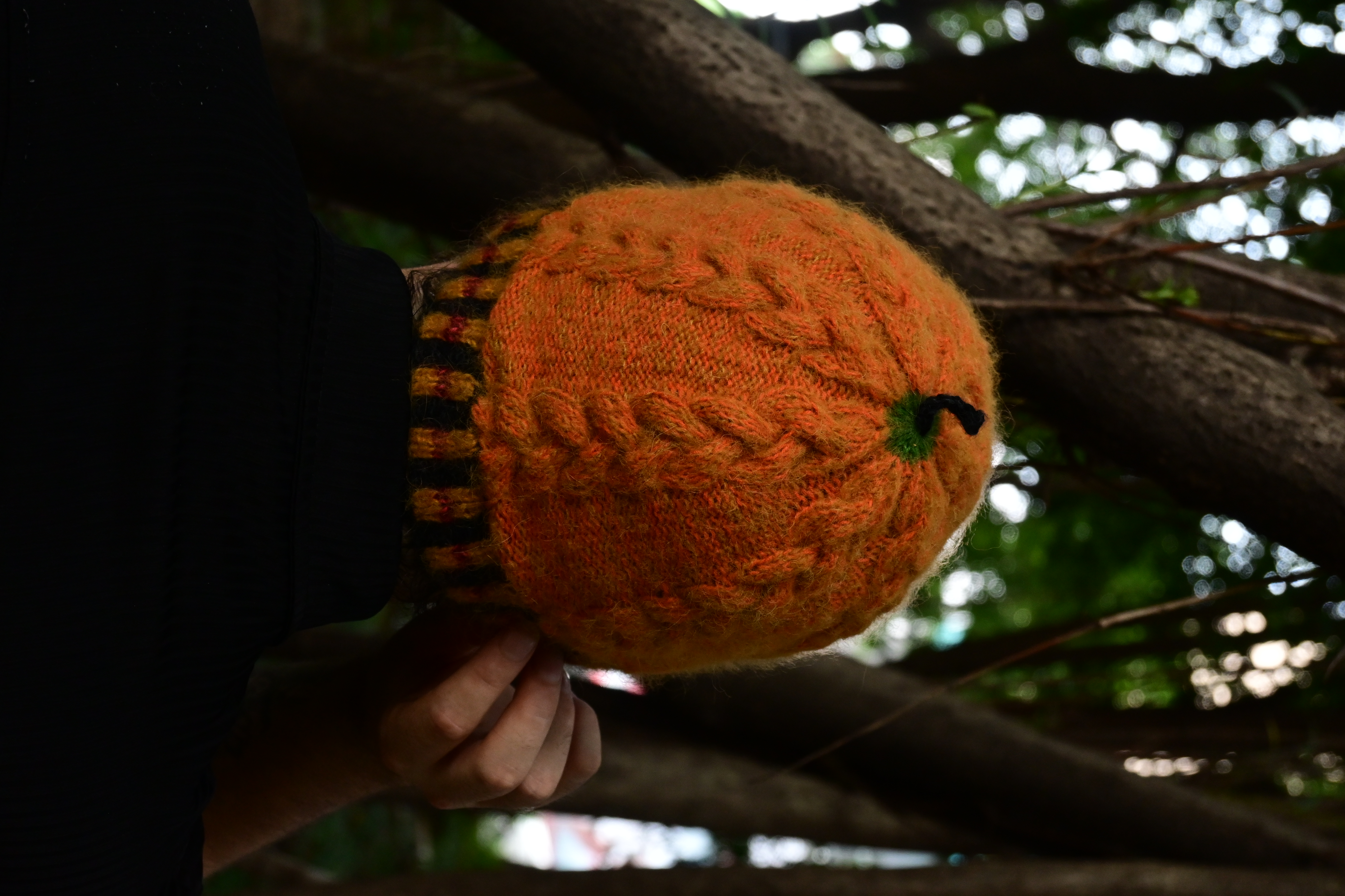 Hocus Pocus hat