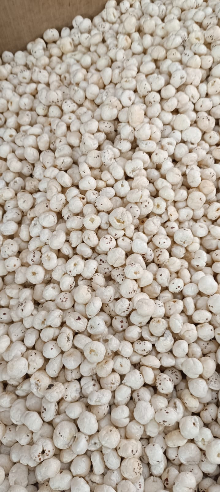 Regular Raw Makhana Lotus Seeds