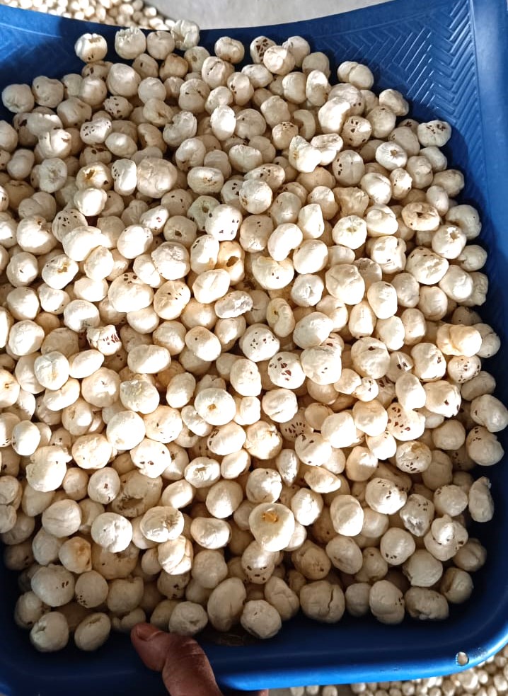 Regular Raw Makhana Lotus Seeds