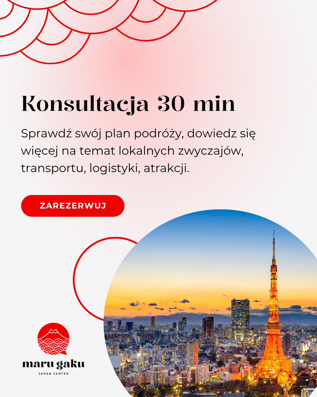 Konsultacja podróży do Japonii  30 min