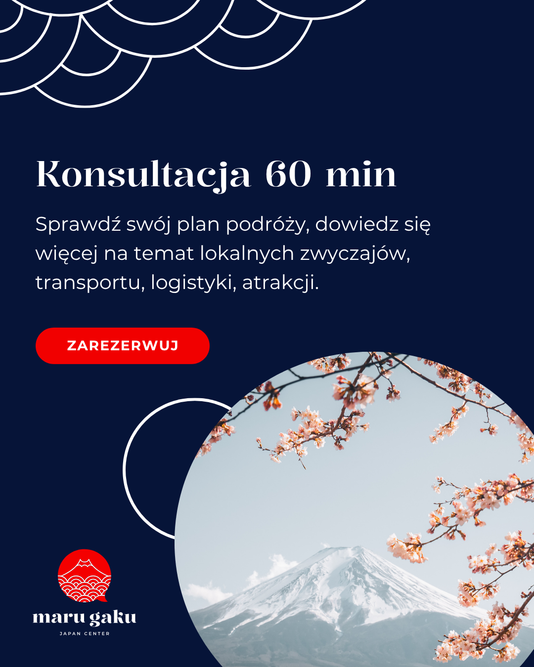Konsultacja podróży do Japonii 60  min