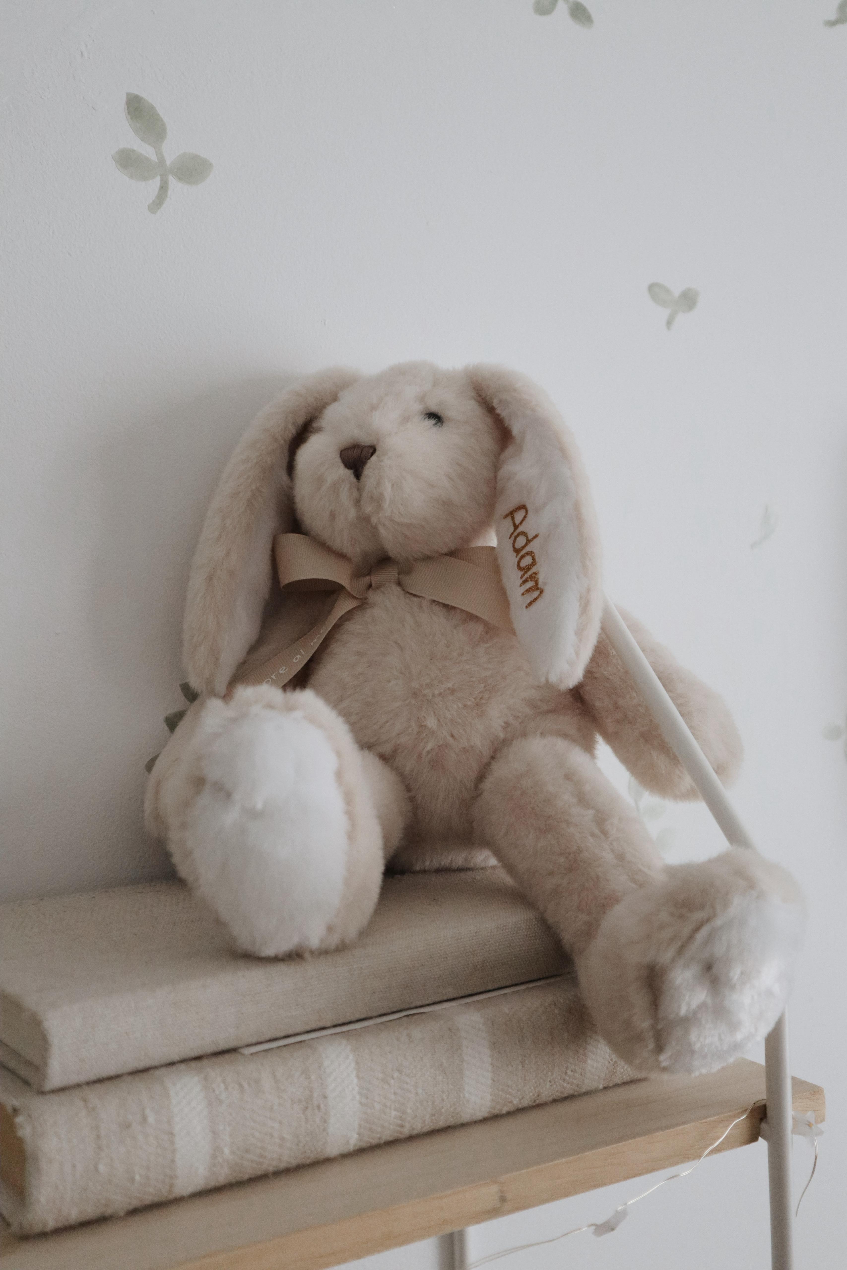 Peluche personalizado