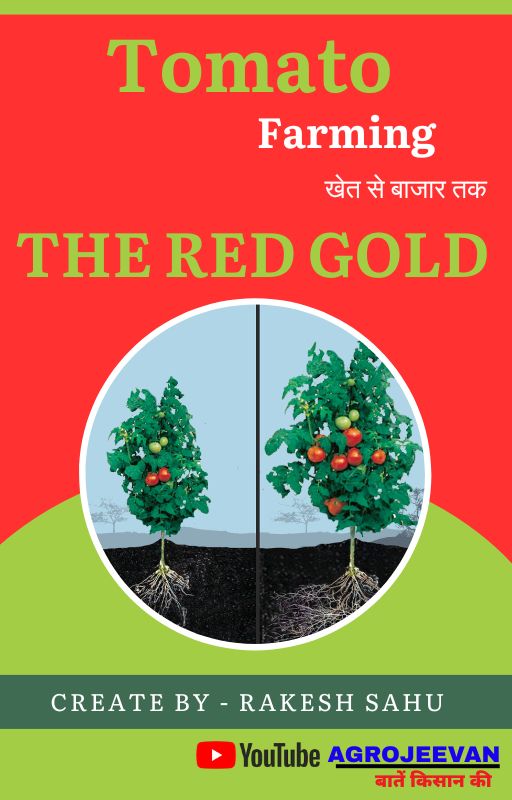 Tomato Farming ebook 