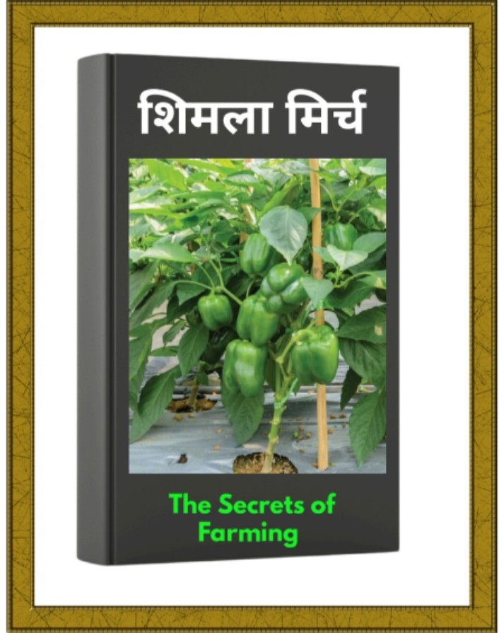 Shimla Mirch Farming ebook