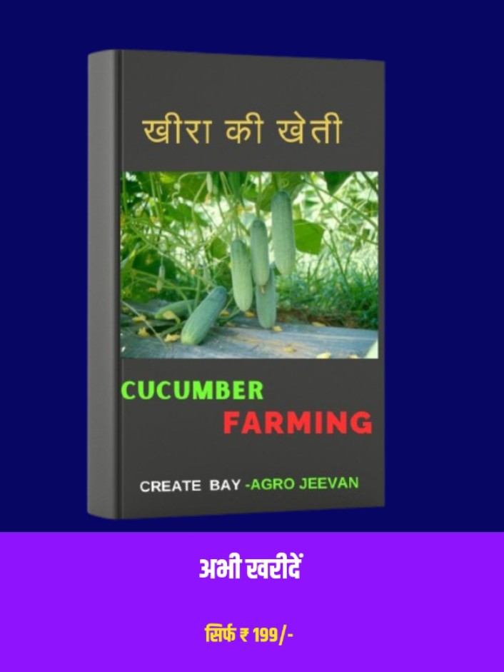  Kheera Farming eBook
