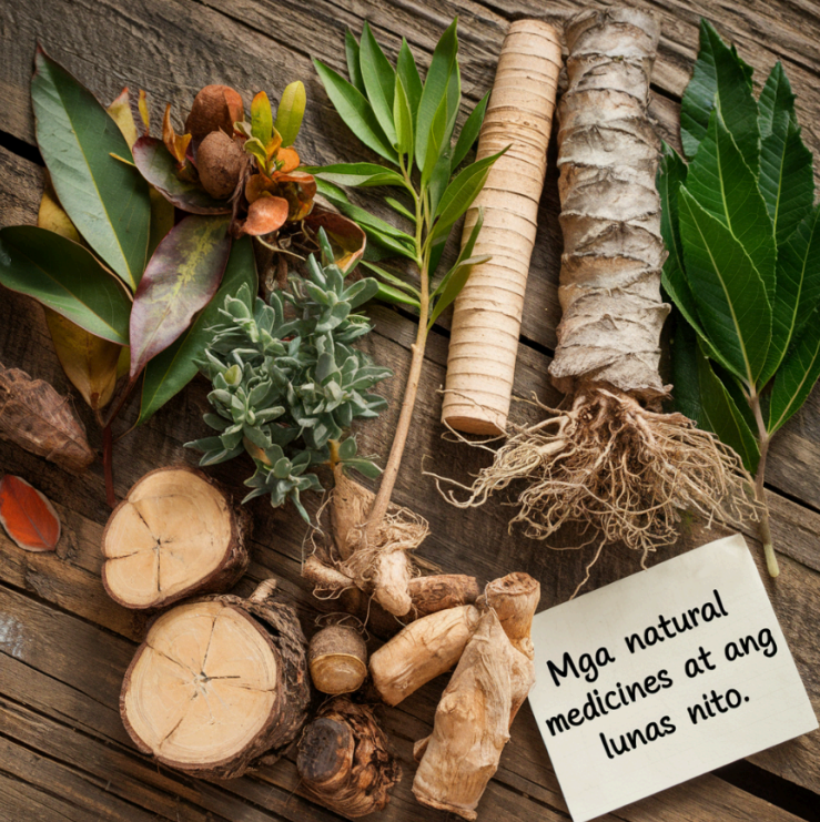 Mga Natural  Herbal Medicines at ang Lunas Nito 