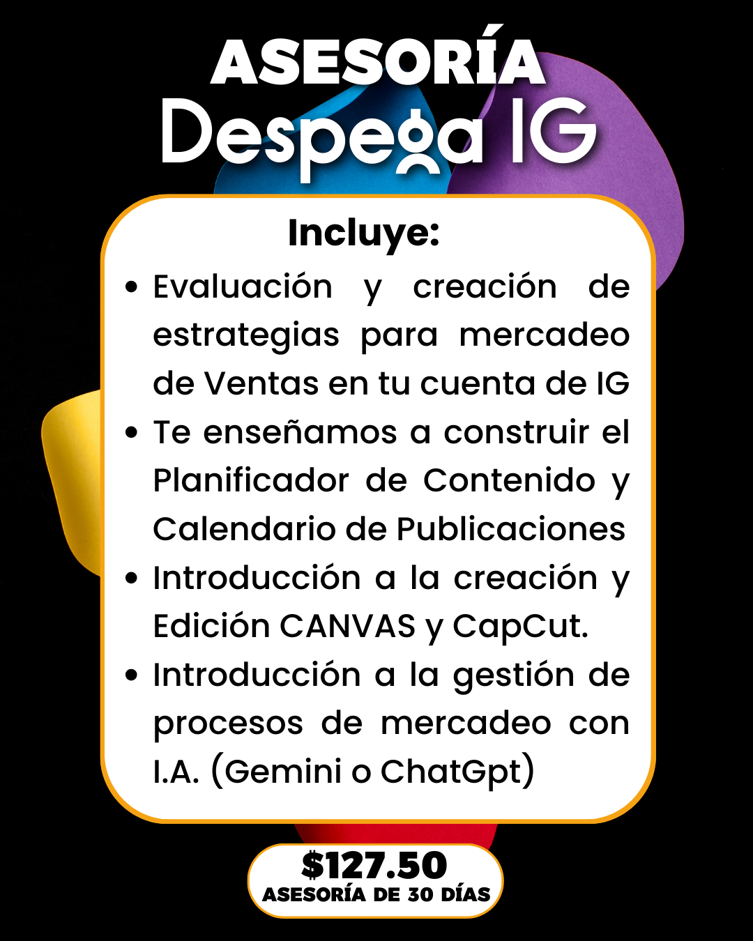 Asesoría Despega IG