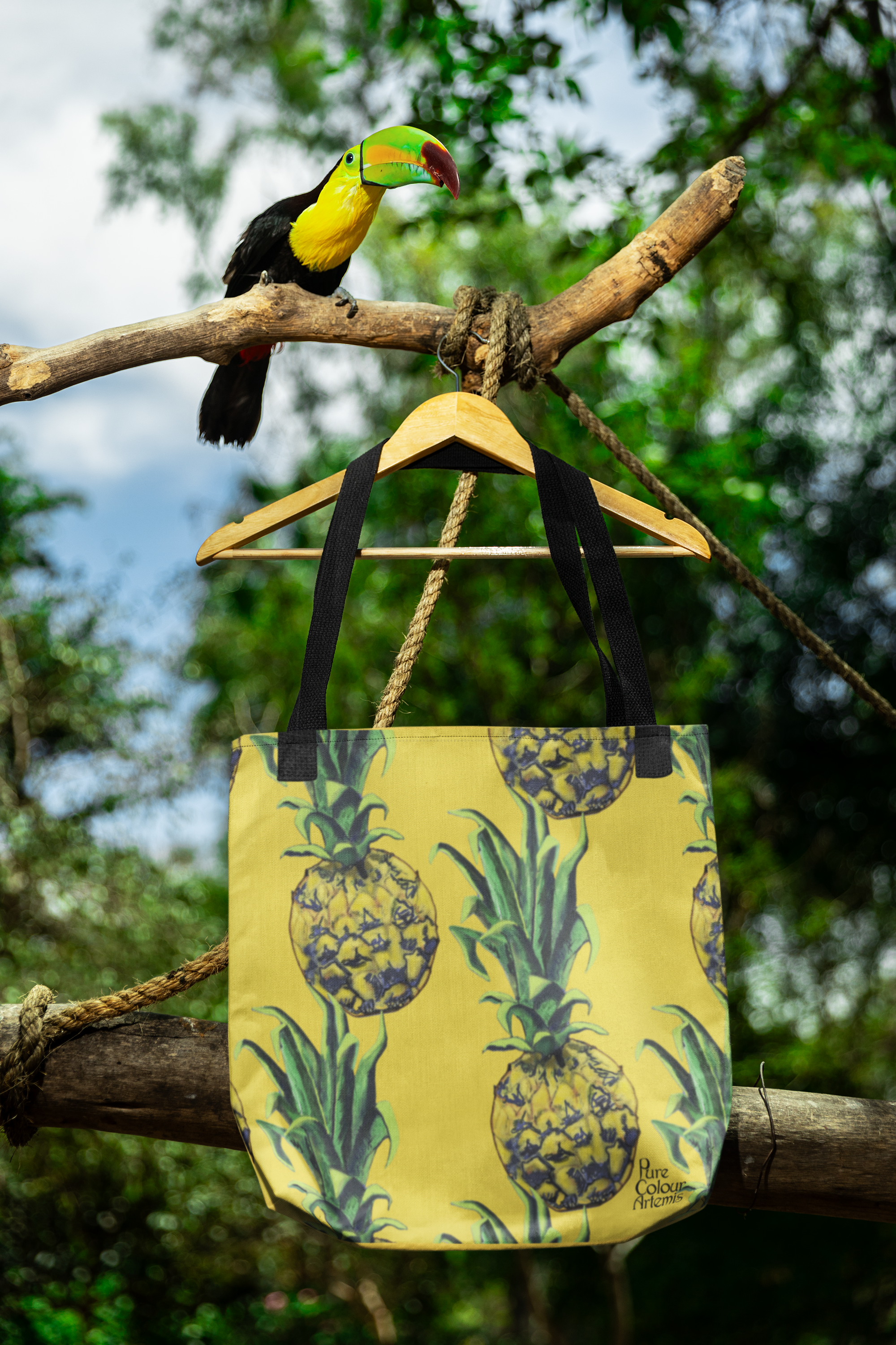 Bolso de tela piñas |  Pineapple  tote bag  