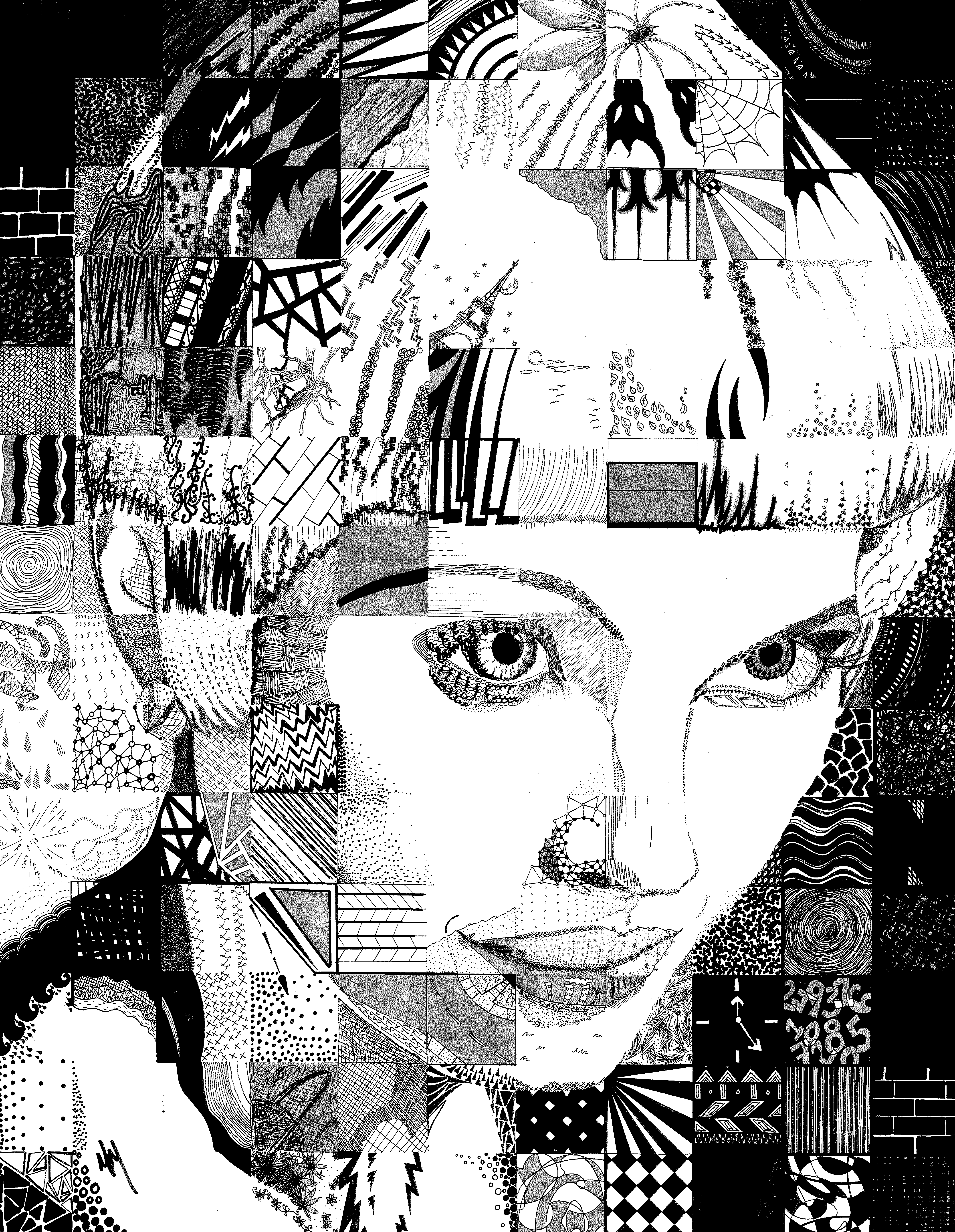 In Search of Mindfulness (2017)