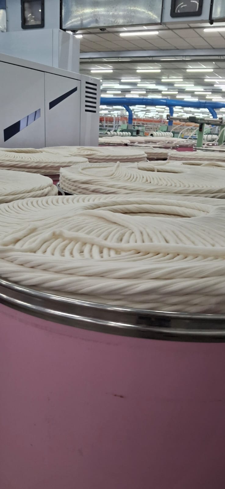 Cotton: Carded or Combed