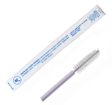CEPILLO ESTUDIO CITOLOGICO D-L