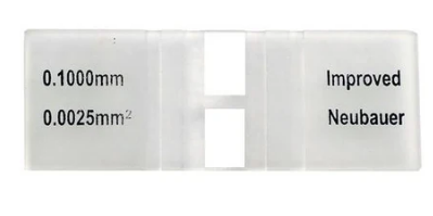 CAMARA NEUBAUER CIVEQ