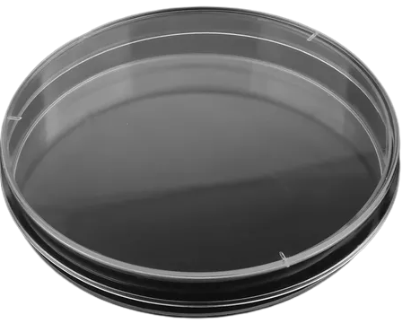 PLACA PETRI ESTE. 60X15 MM S/D C/10