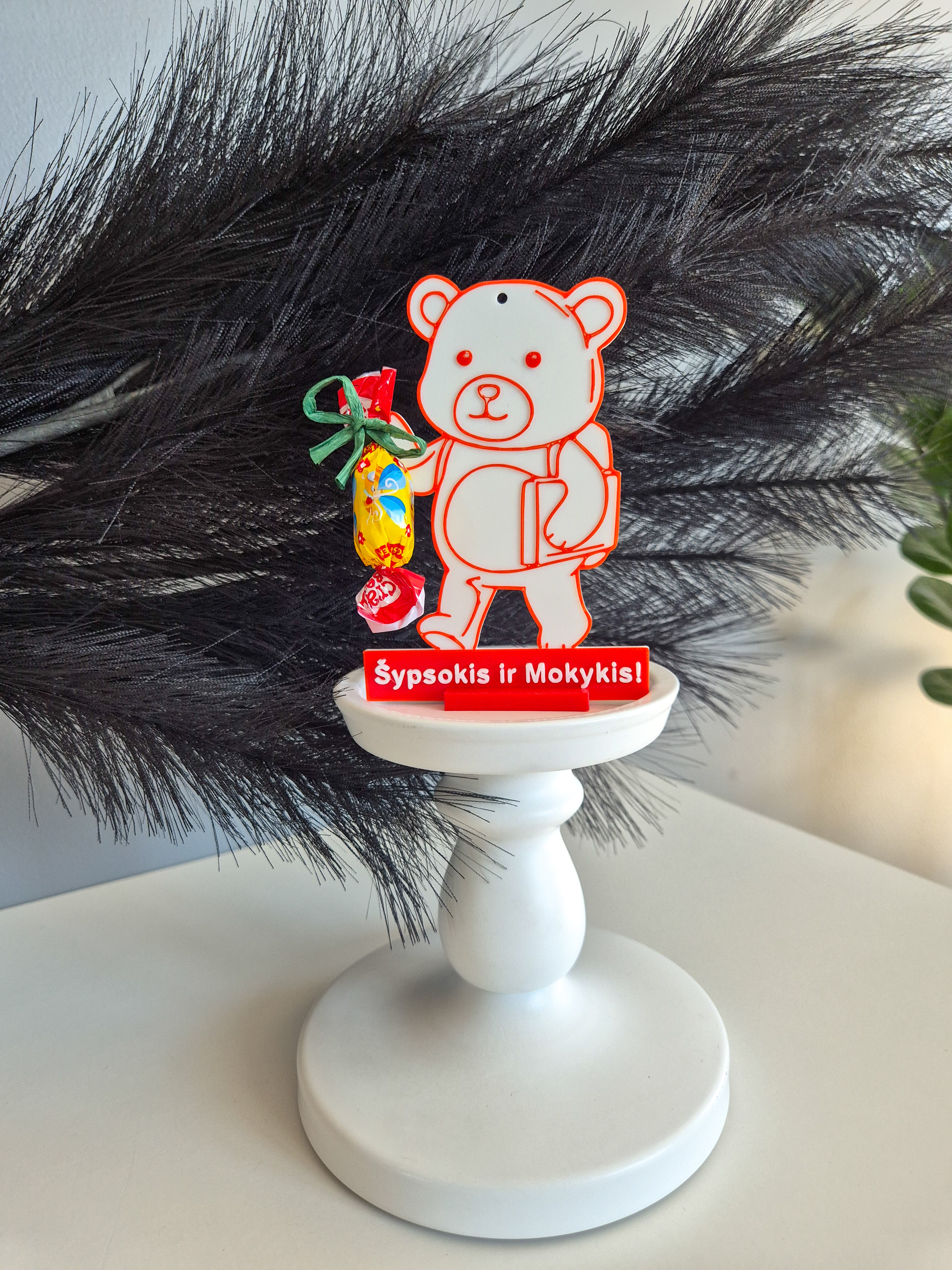 Personalizuota meškiuko dovana mokiniui