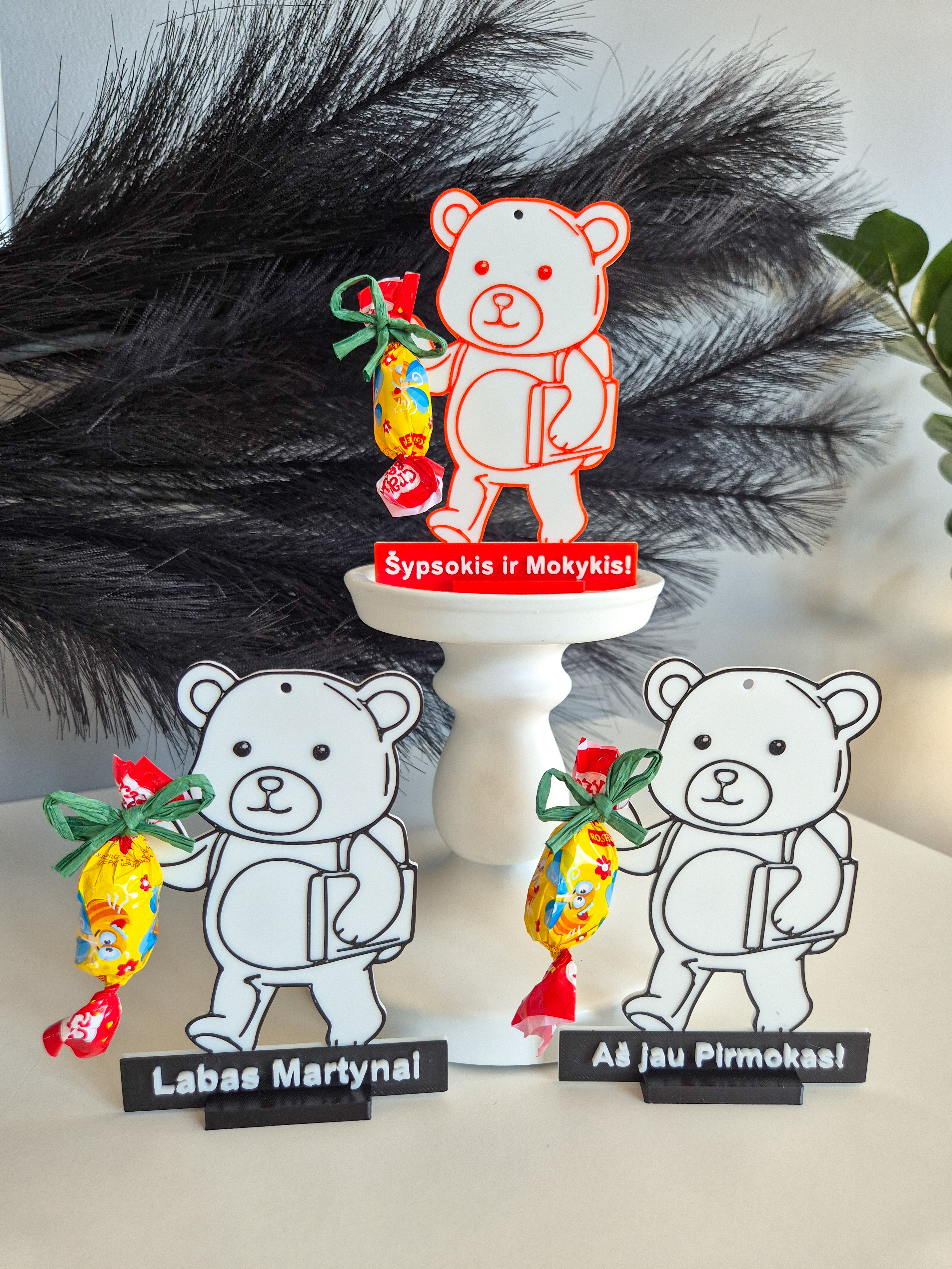 Personalizuota meškiuko dovana mokiniui