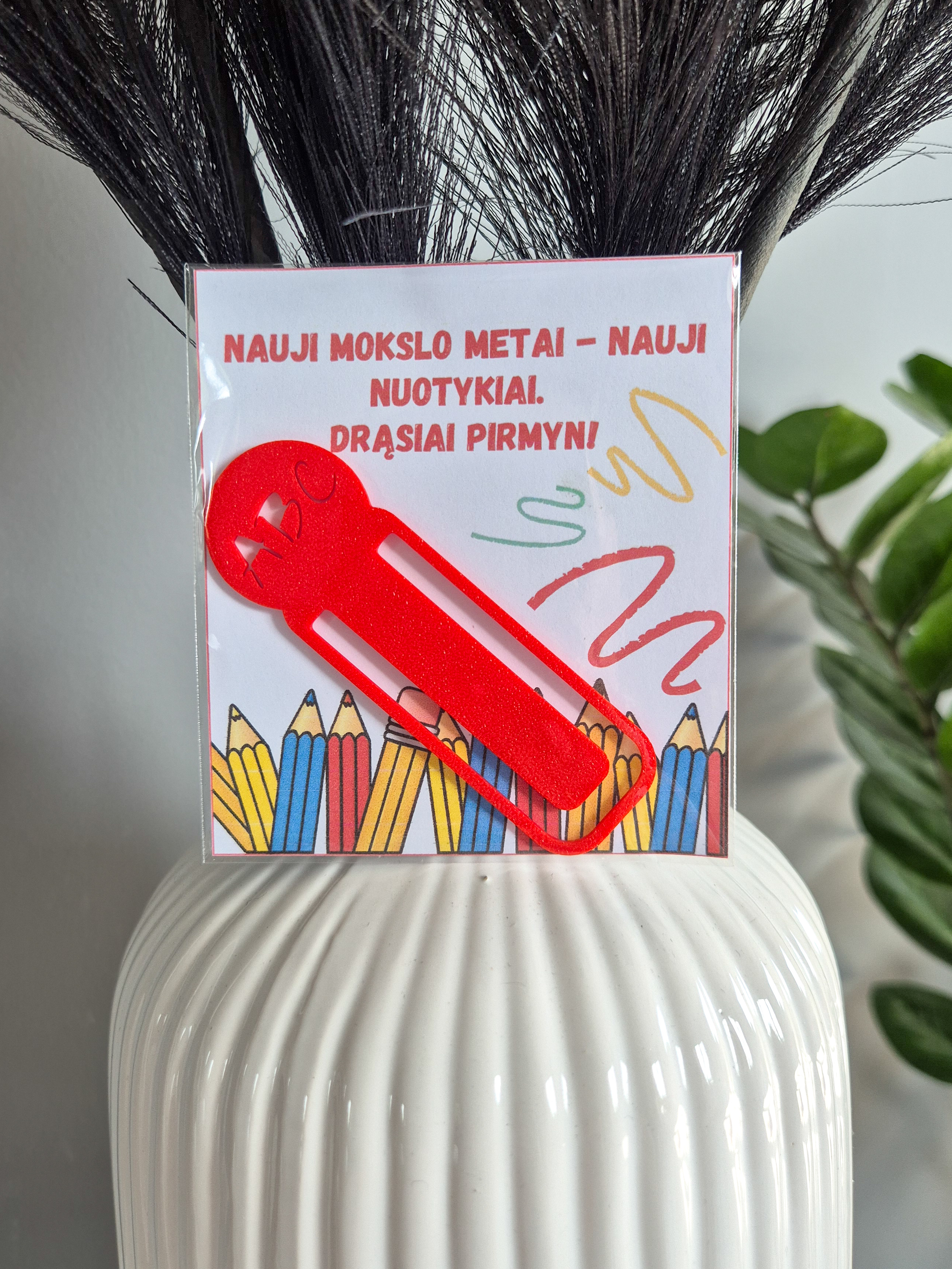 Knygos skirtukas „Nauji mokslo metai“