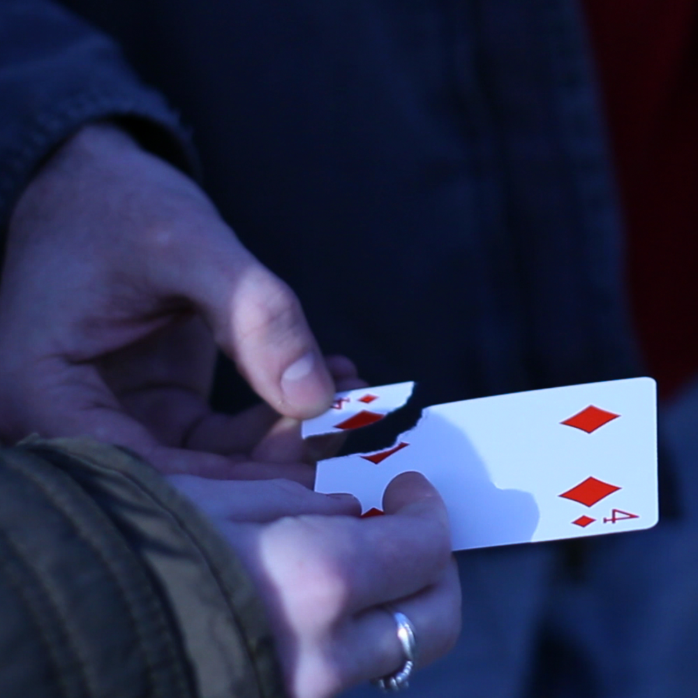 Cannibal by Kevin Reylek (Video Download)