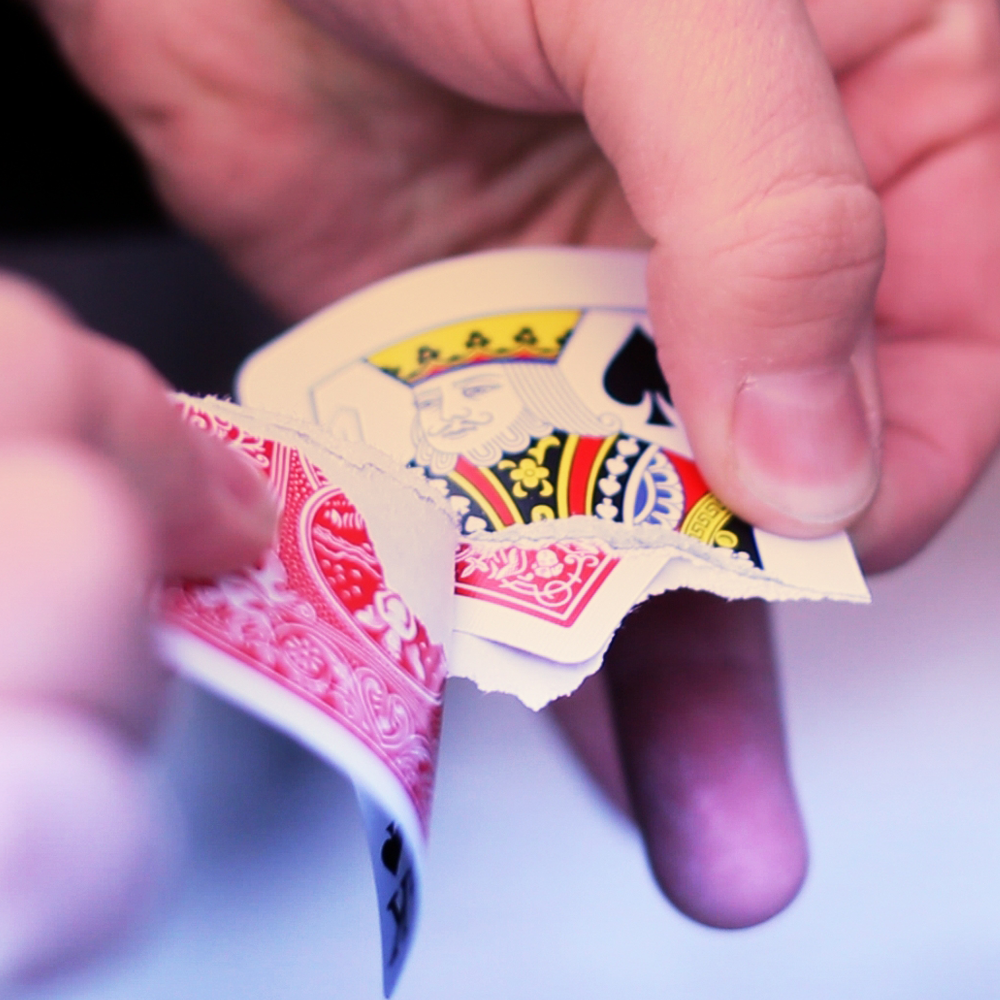 Cannibal by Kevin Reylek (Video Download)