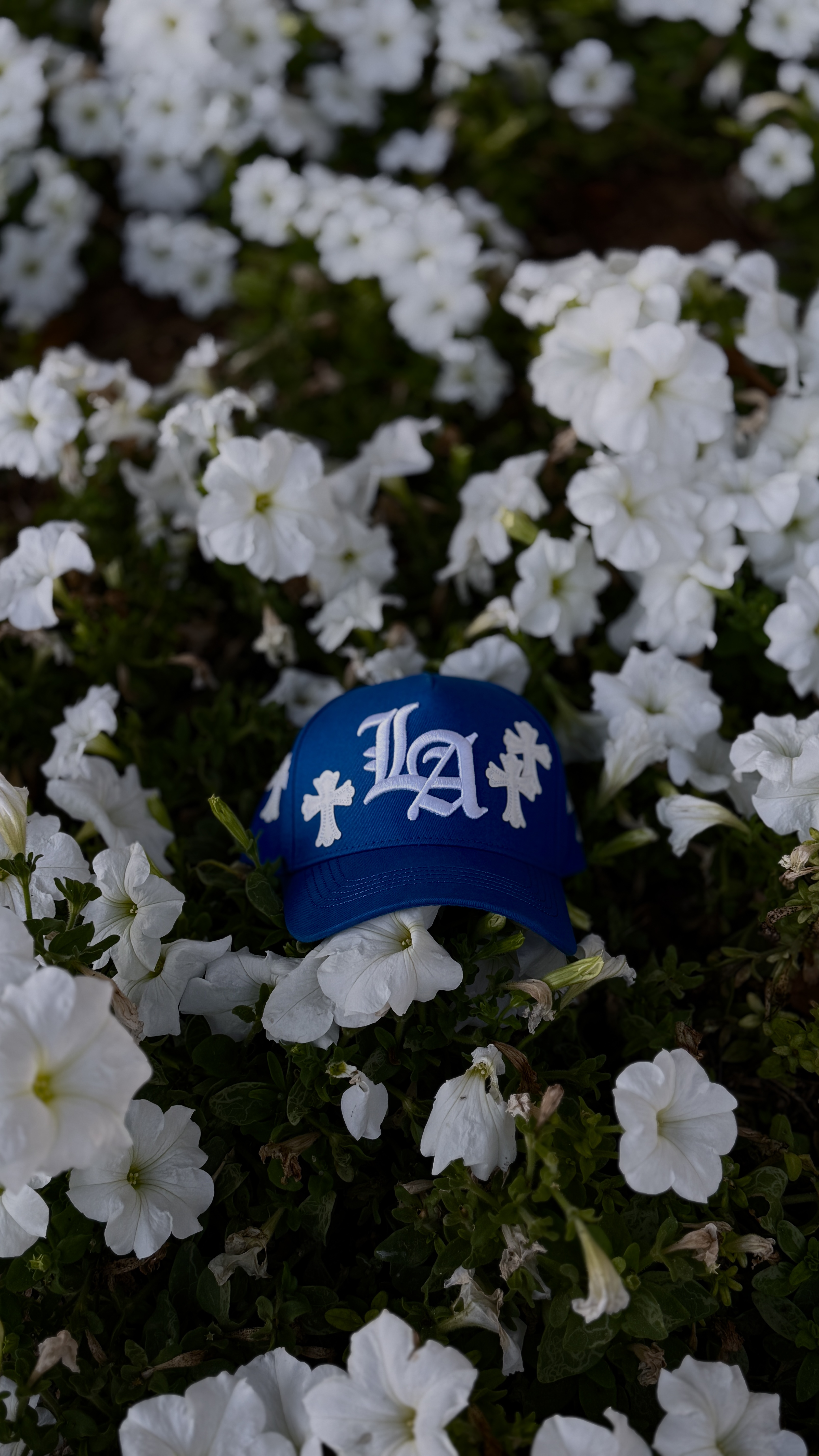 LA Embroidered Blue Cap
