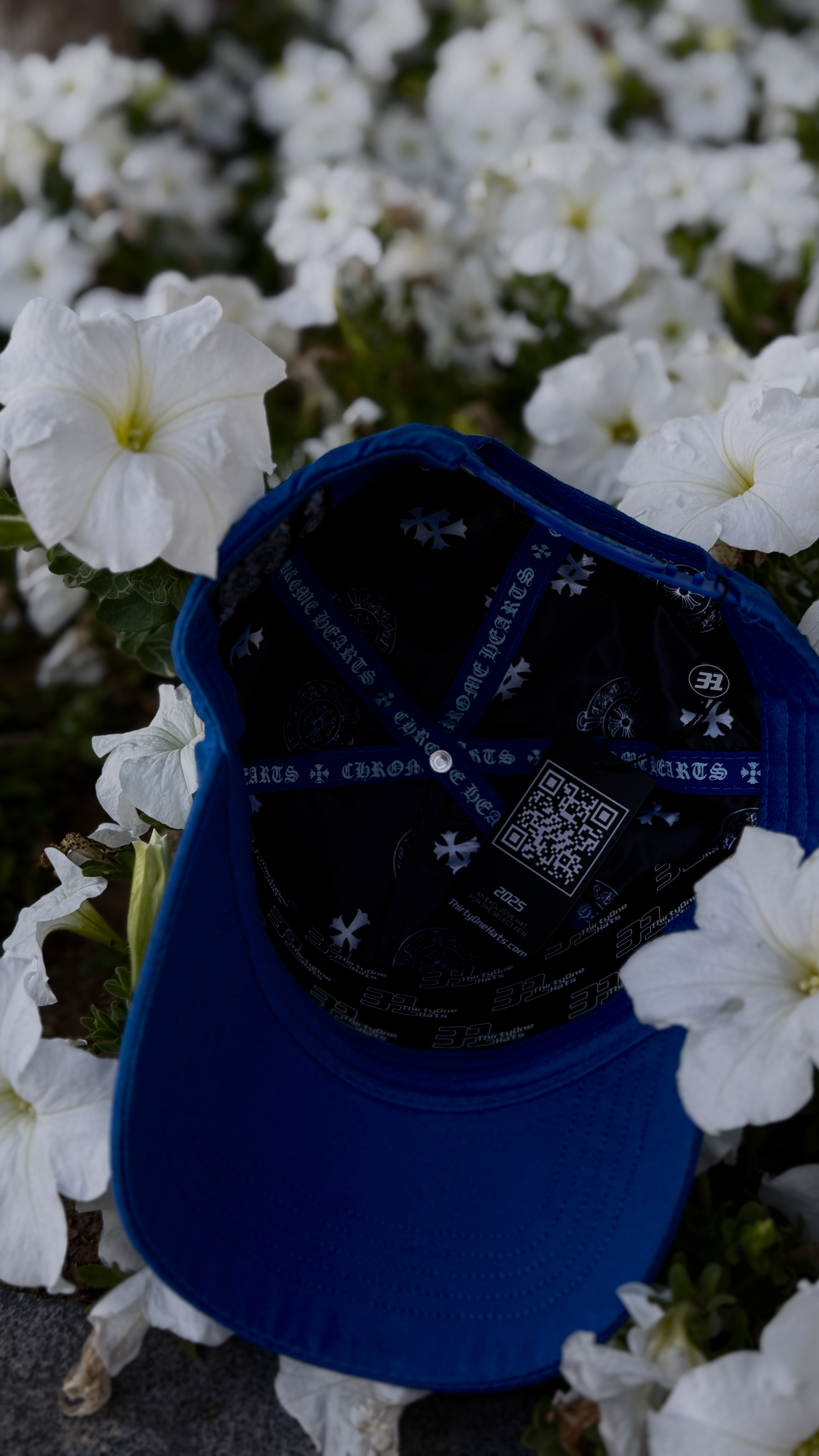 LA Embroidered Blue Cap