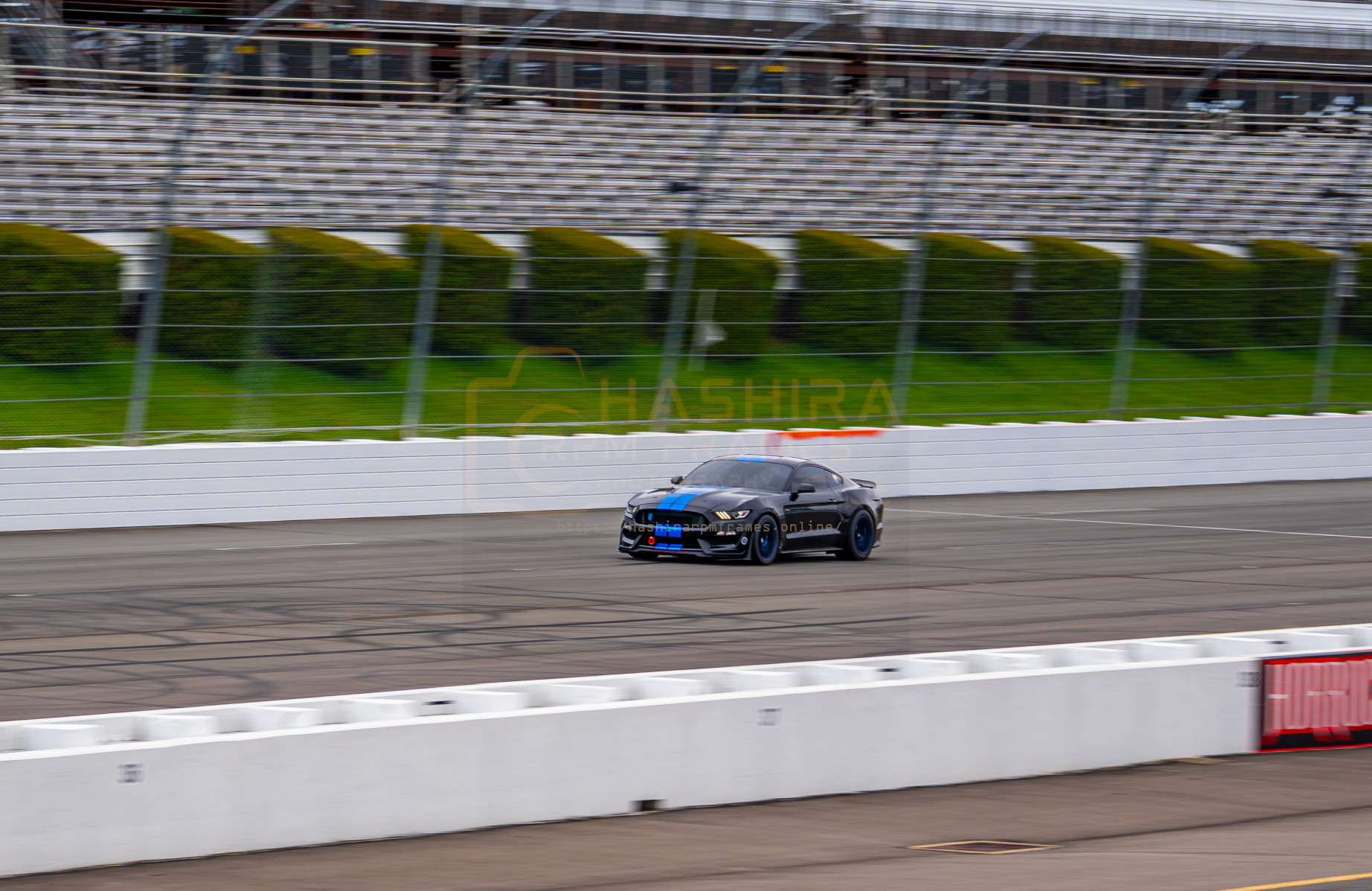 Mustang GT500 [RM10025]