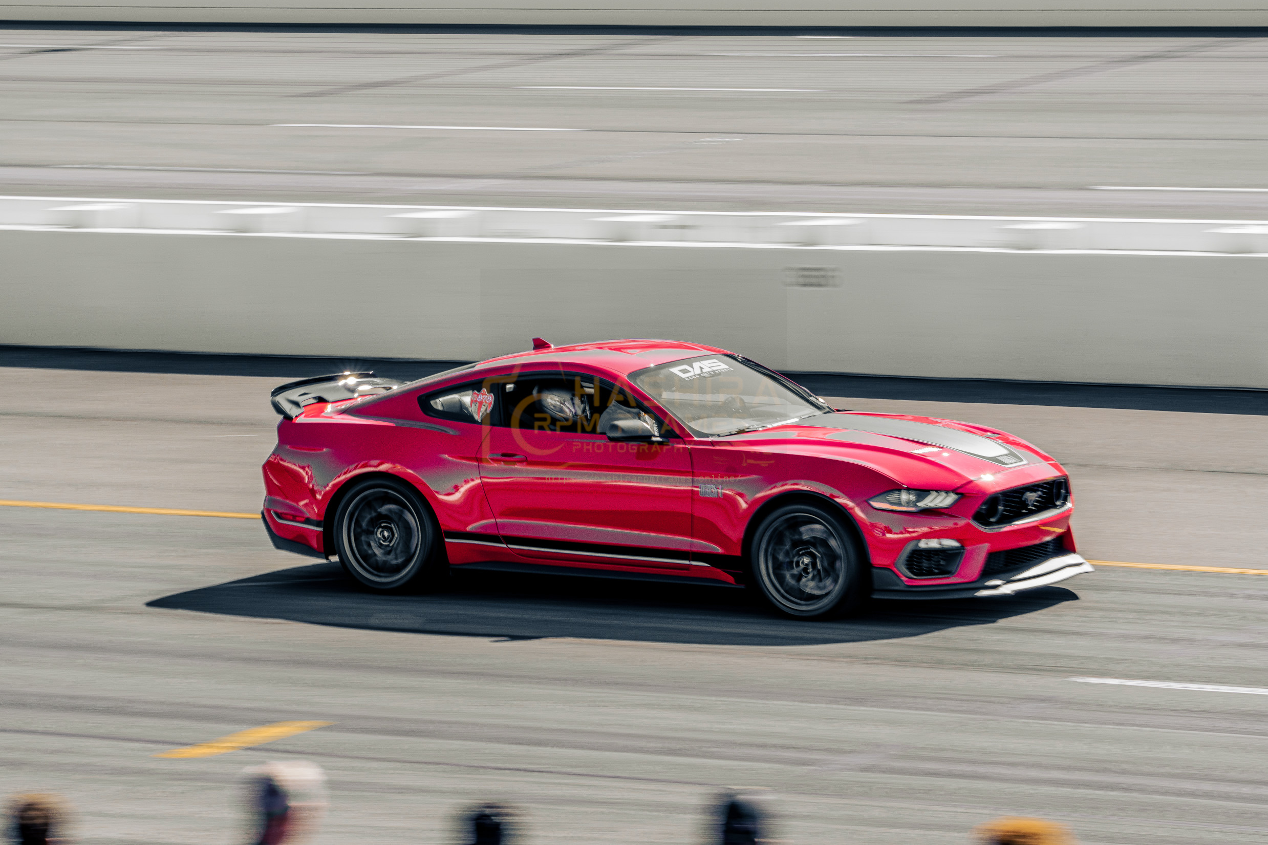 Mustang Mach 1 [RM10026]