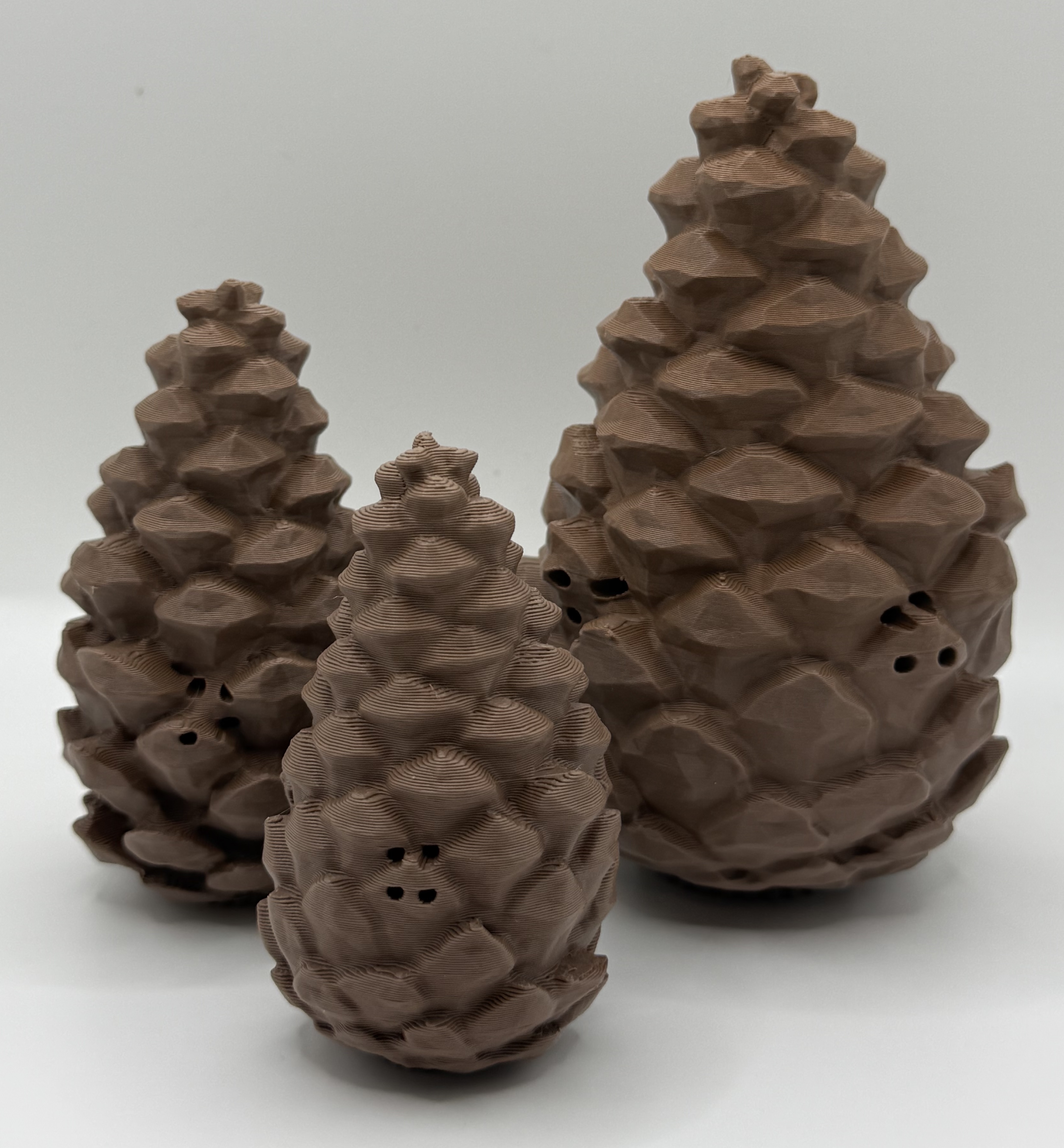 Scent Work Pinecone 