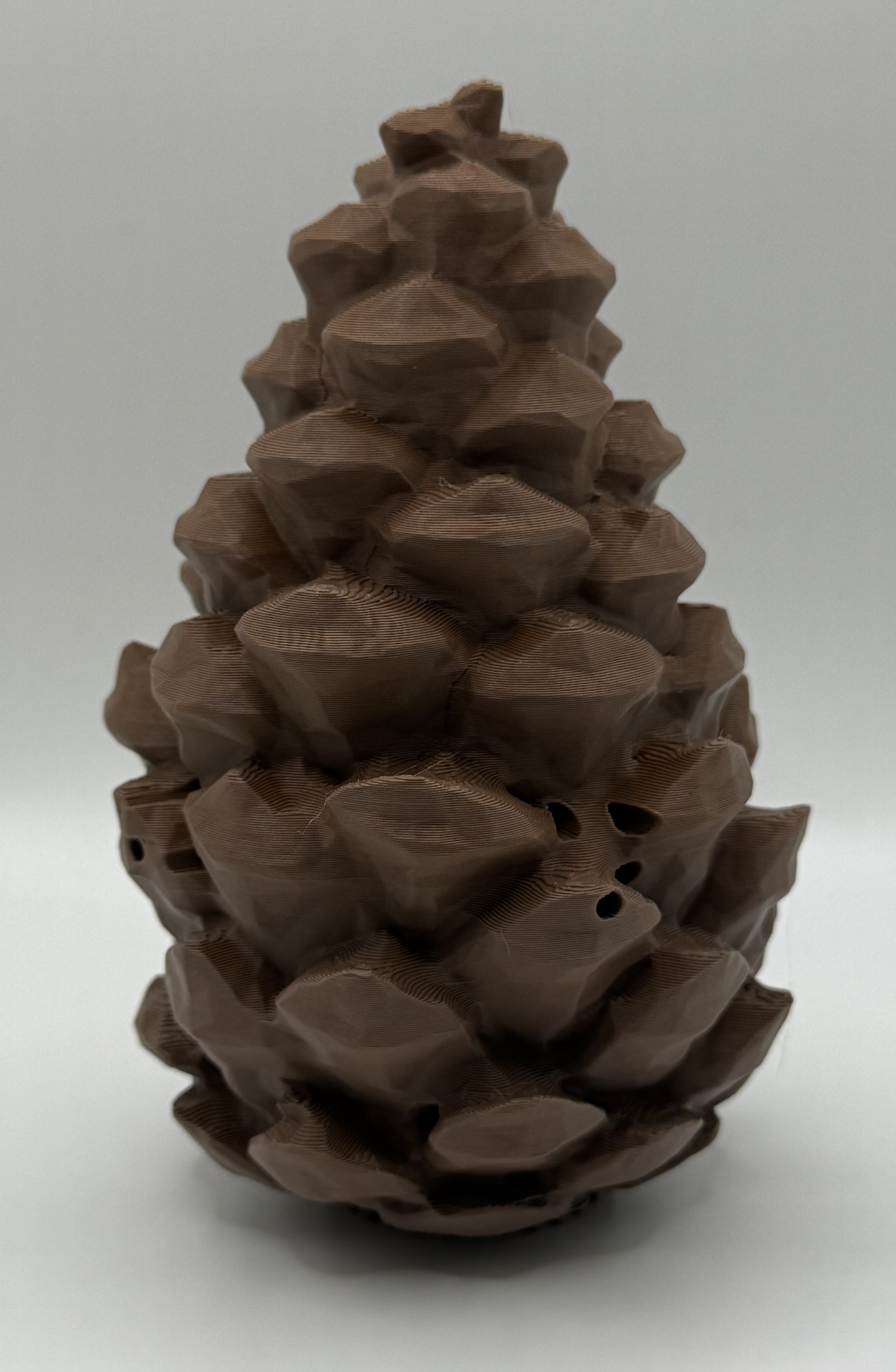 Scent Work Pinecone 