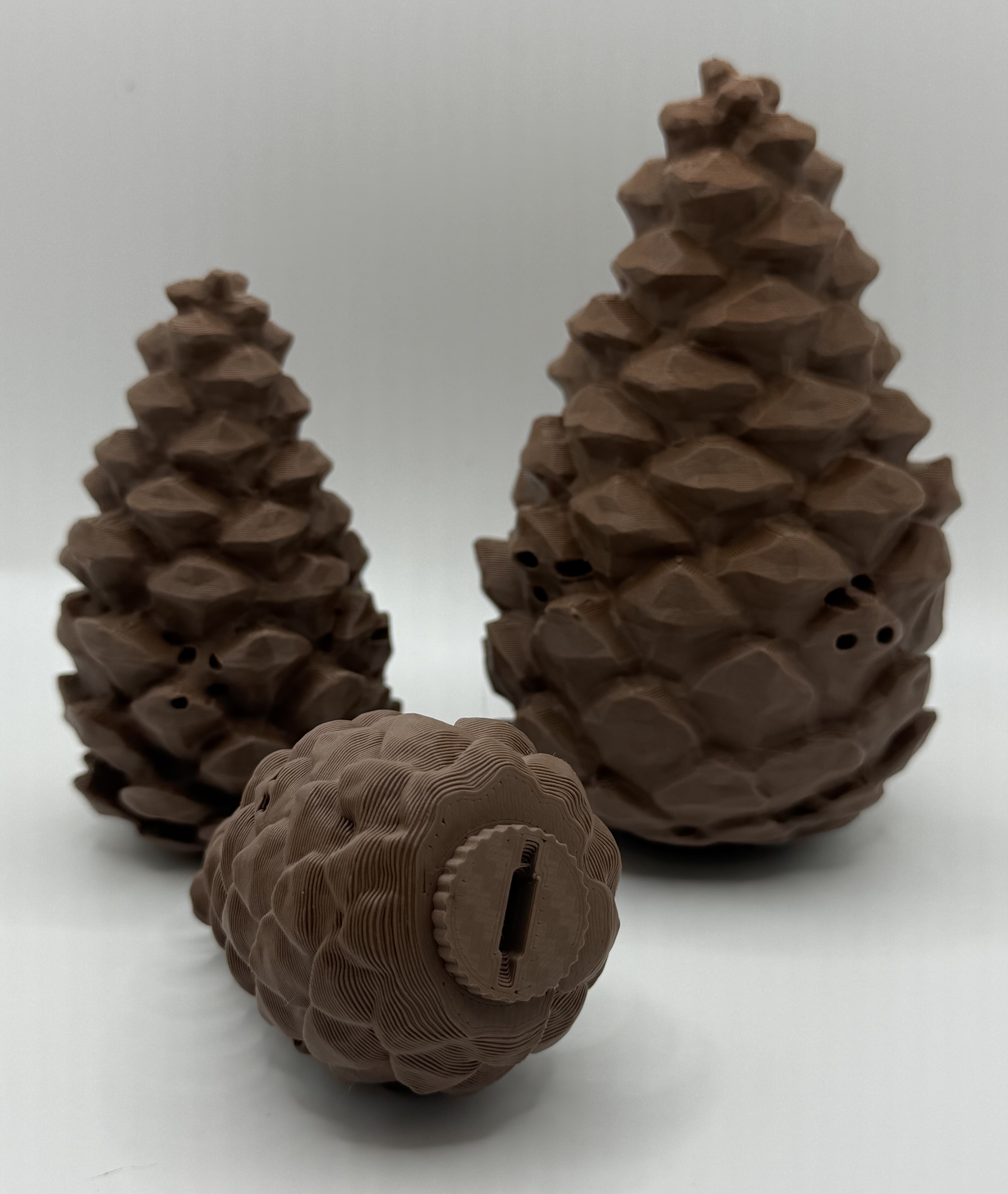 Scent Work Pinecone 