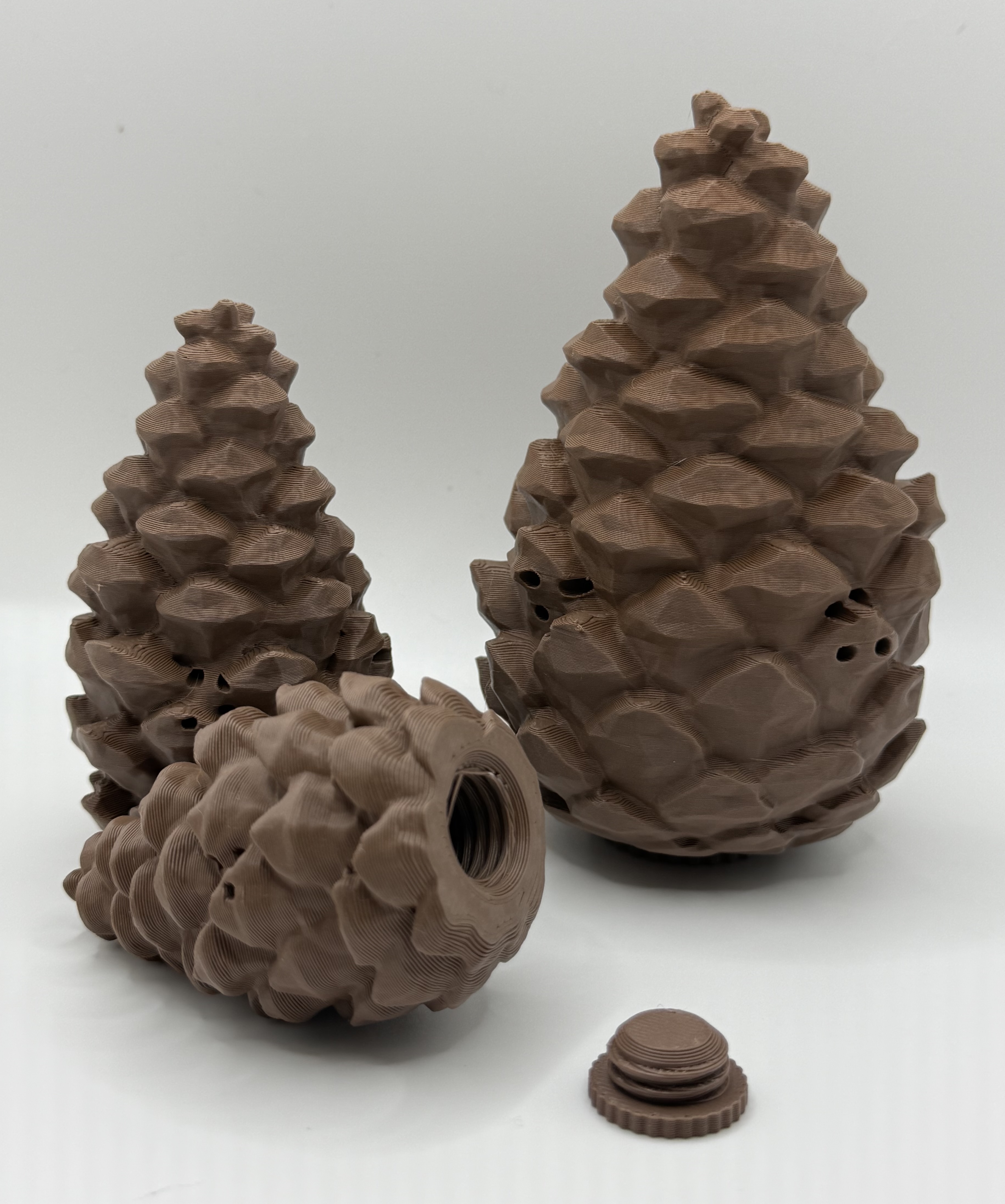 Scent Work Pinecone 